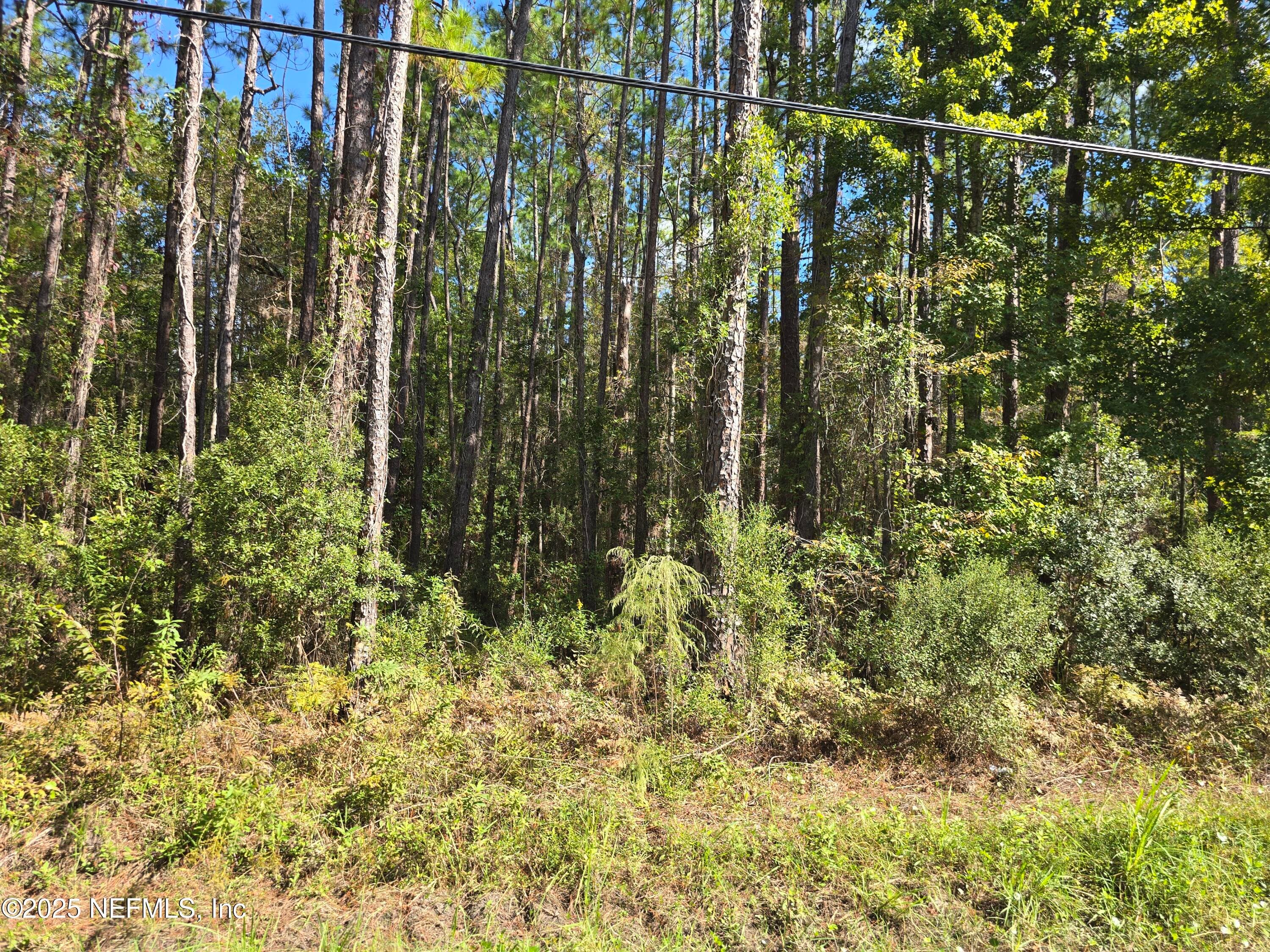 0 MCLAURIN Road E, Jacksonville, FL 32256, Jacksonville — photo 3