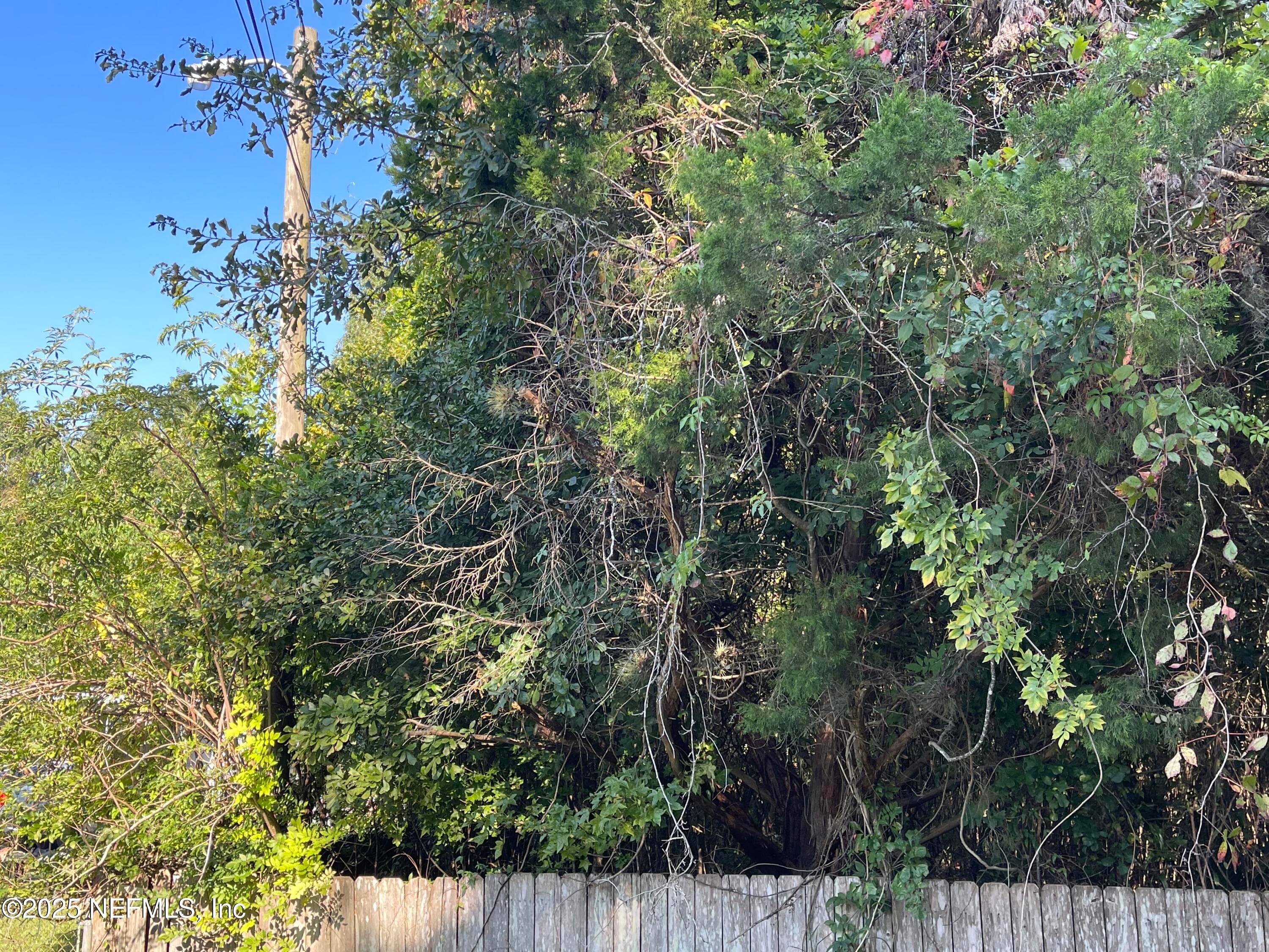 3159 DOTHAN Road, Green Cove Springs, FL 32043, Green Cove Springs — exterior