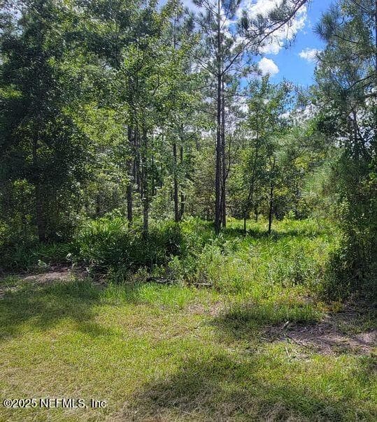 4329 BONDARENKO Road, Keystone Heights, FL 32656, Keystone Heights — exterior
