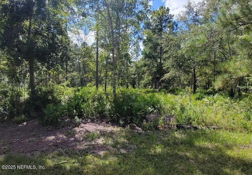4329 BONDARENKO Road, Keystone Heights, FL 32656, Keystone Heights — photo 3