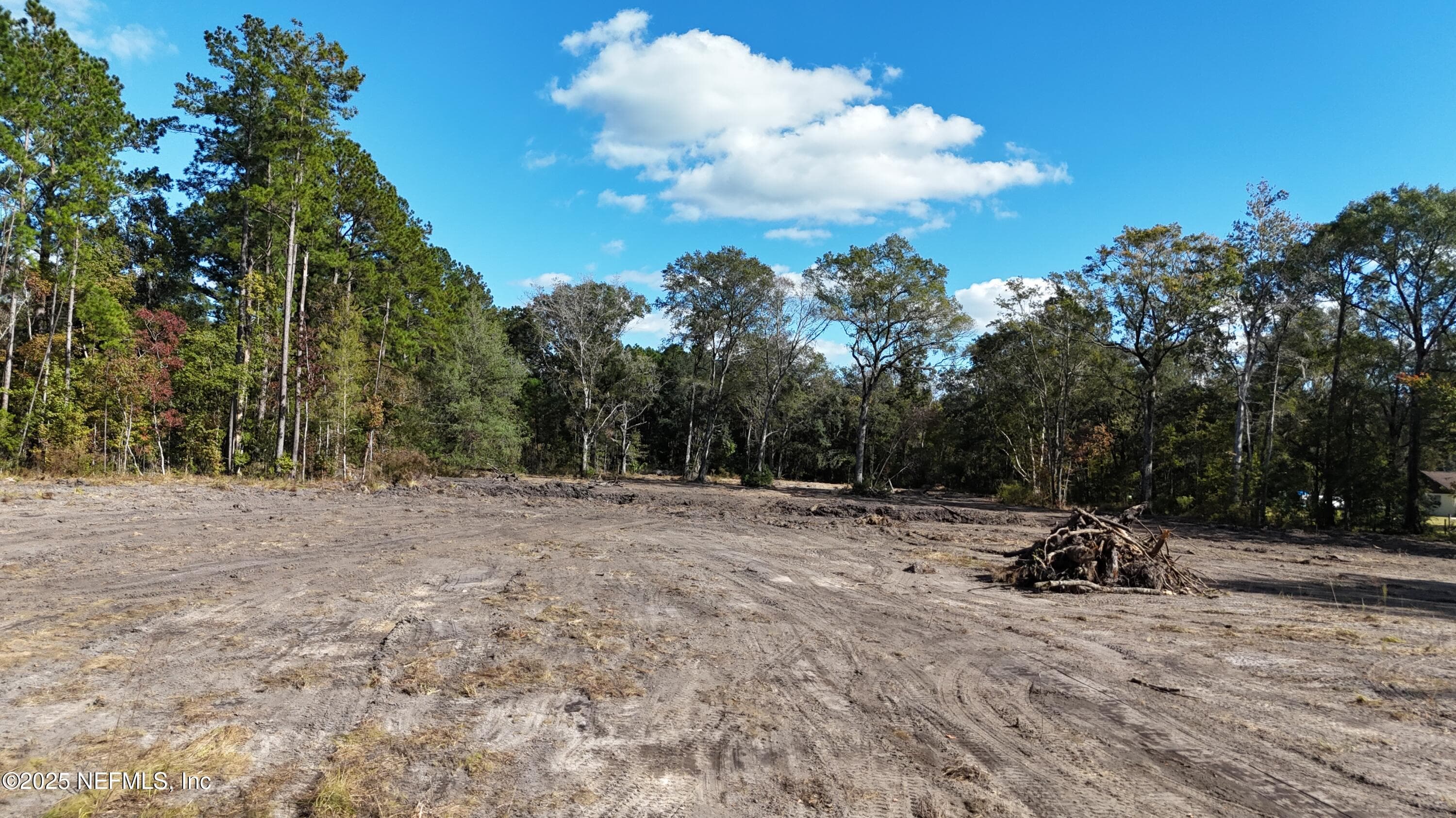0 WILBUR JONES Road, Callahan — photo 2