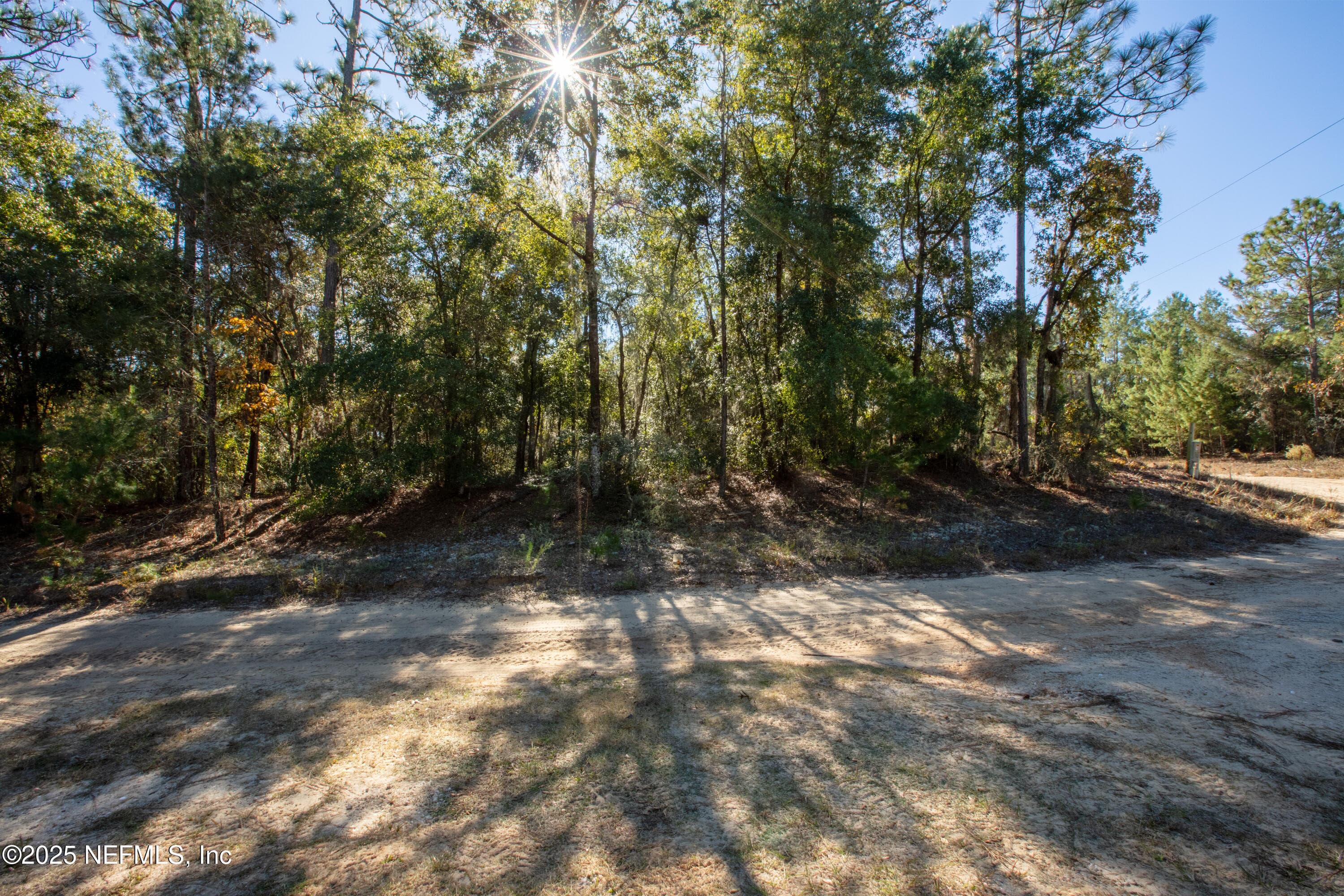 000 W HILLSBOROUGH Avenue, Florahome, FL 32140, Florahome — photo 3