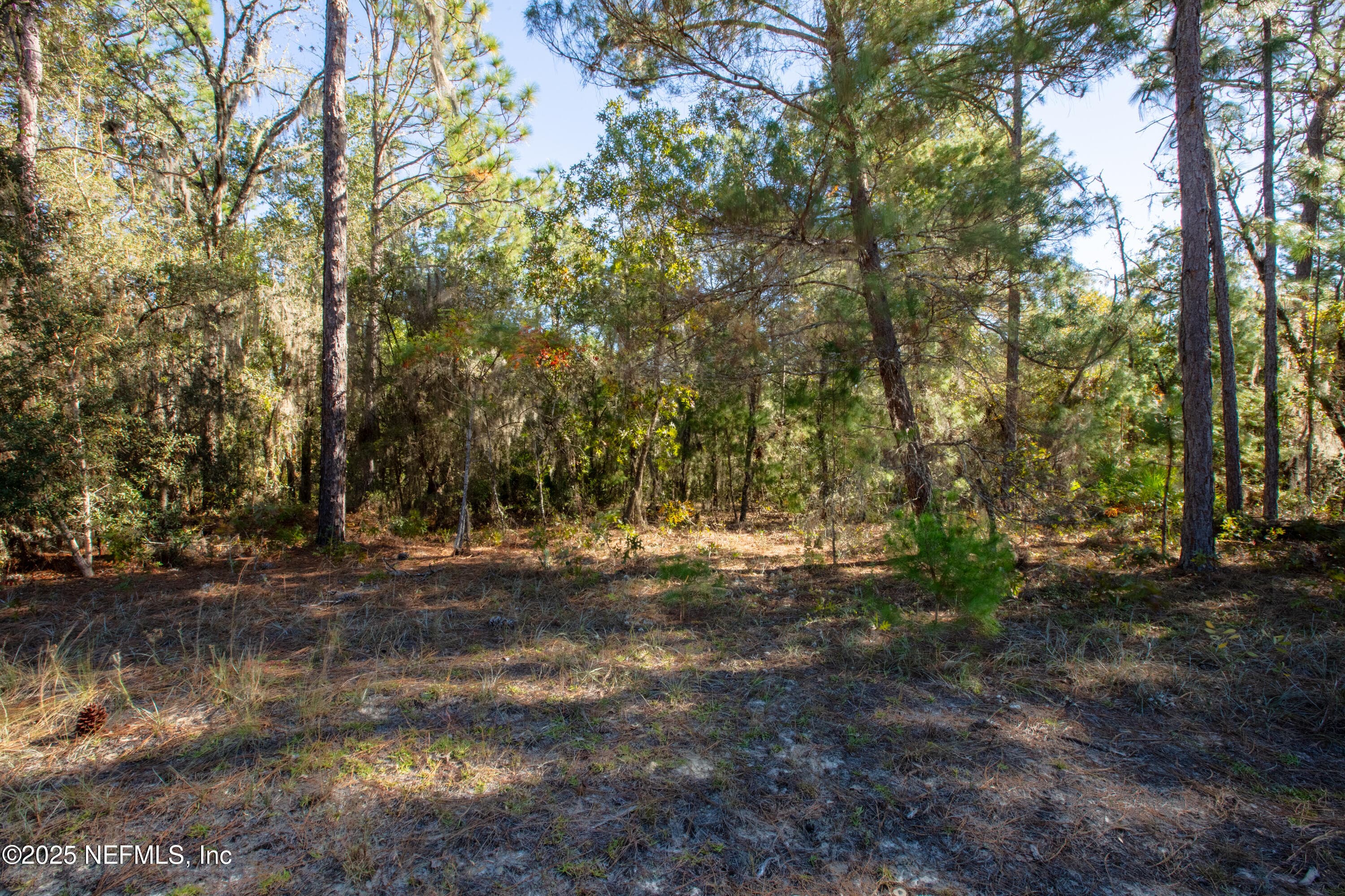 000 W HILLSBOROUGH Avenue, Florahome, FL 32140, Florahome — photo 2