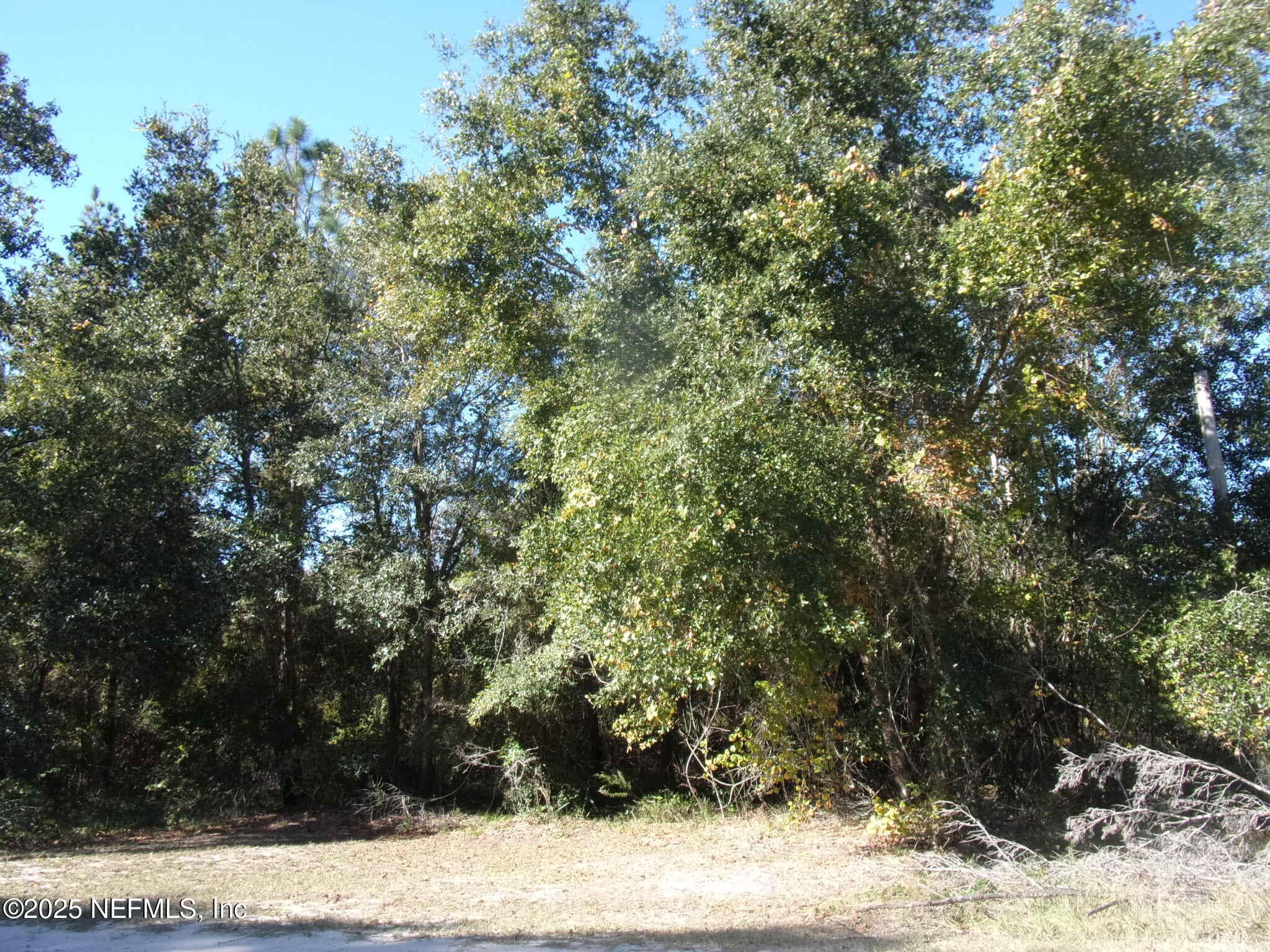 00 OAK RUN Road, Crescent City, FL 32112, Crescent City — exterior