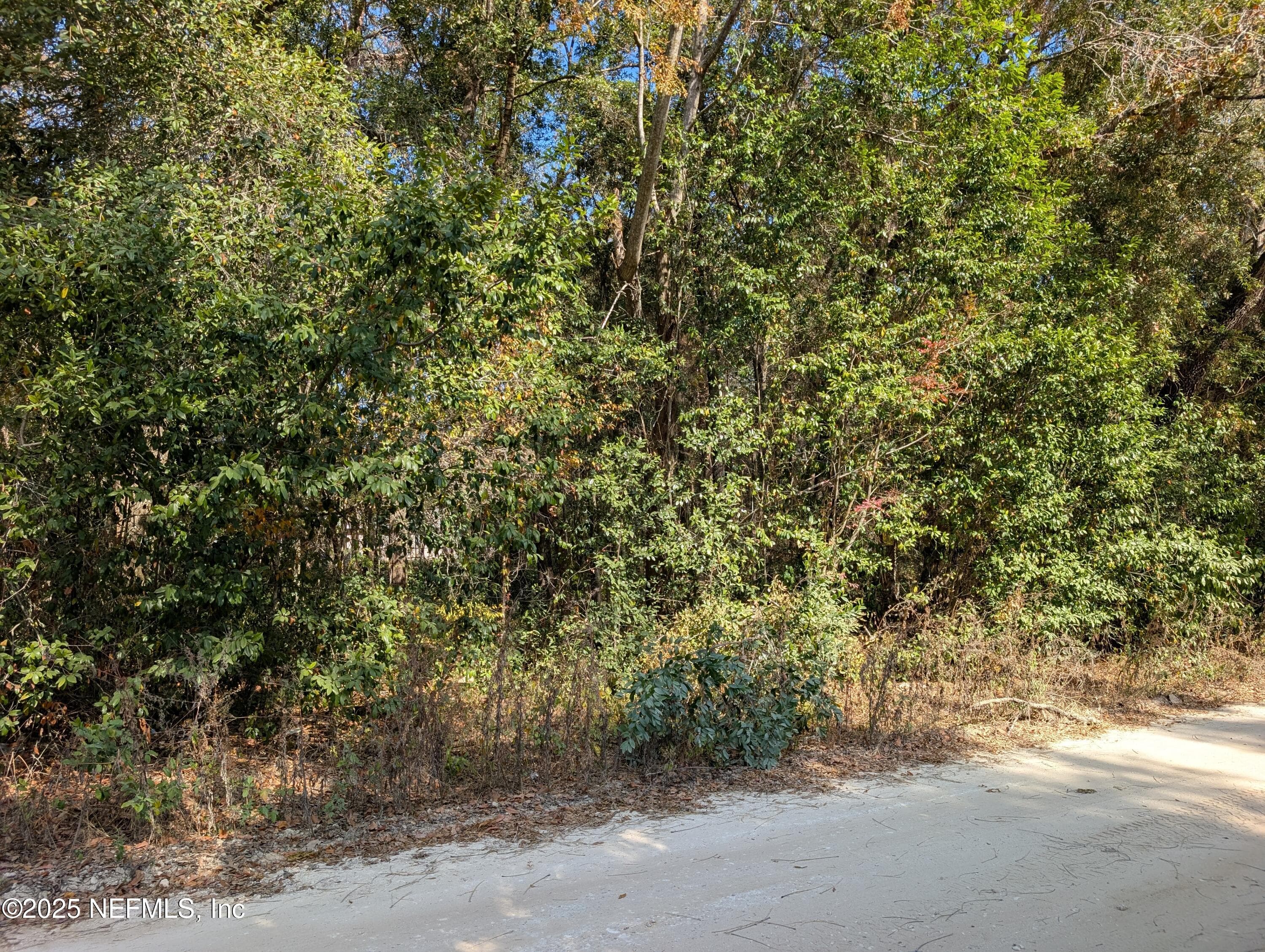 236 2ND Way, Interlachen, FL 32148, Interlachen — exterior