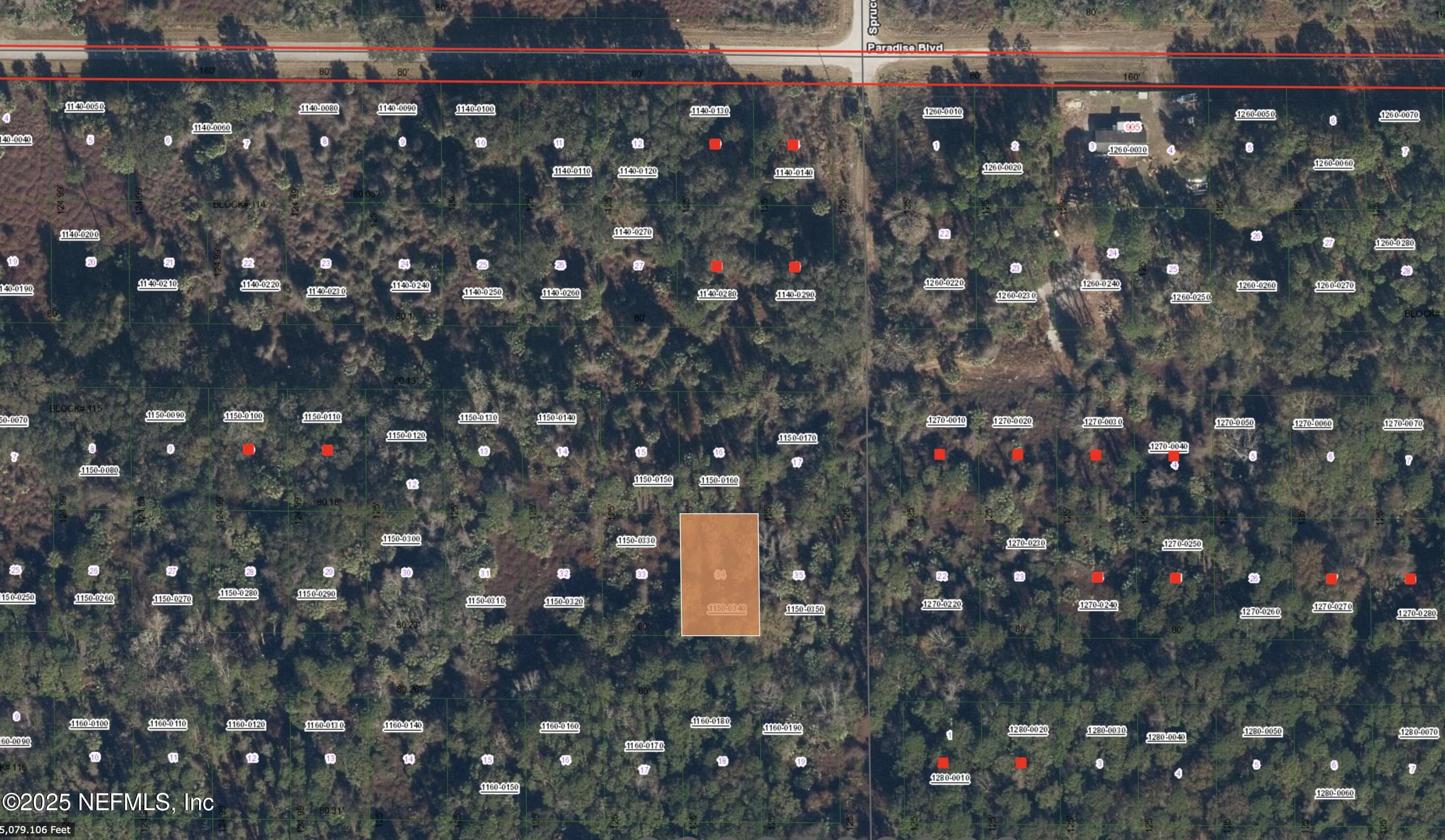 234 LAISY Drive, Georgetown, FL 32139, Georgetown — exterior