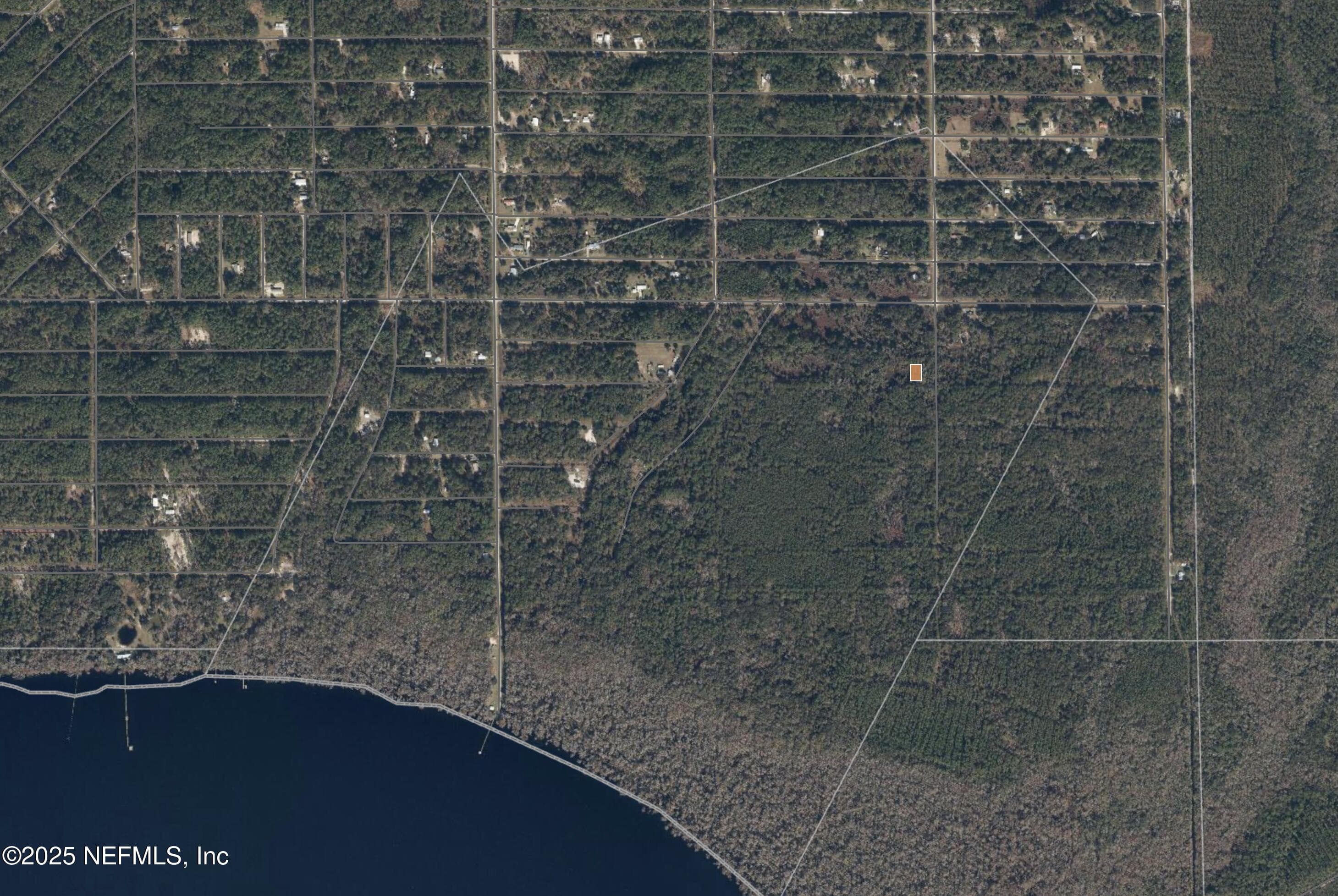 234 LAISY Drive, Georgetown, FL 32139, Georgetown — photo 2
