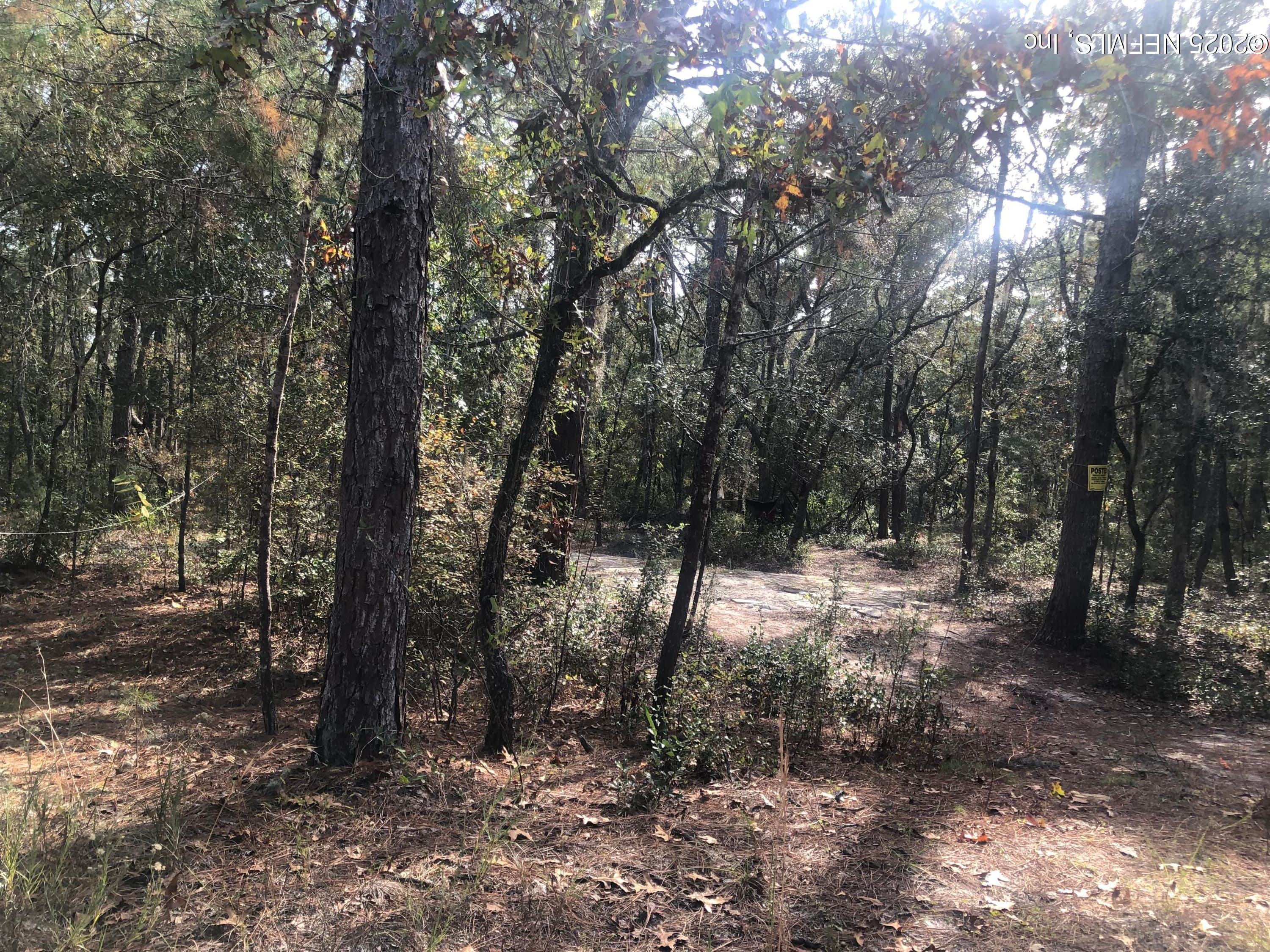 105 NEVADA Drive, Satsuma — photo 2