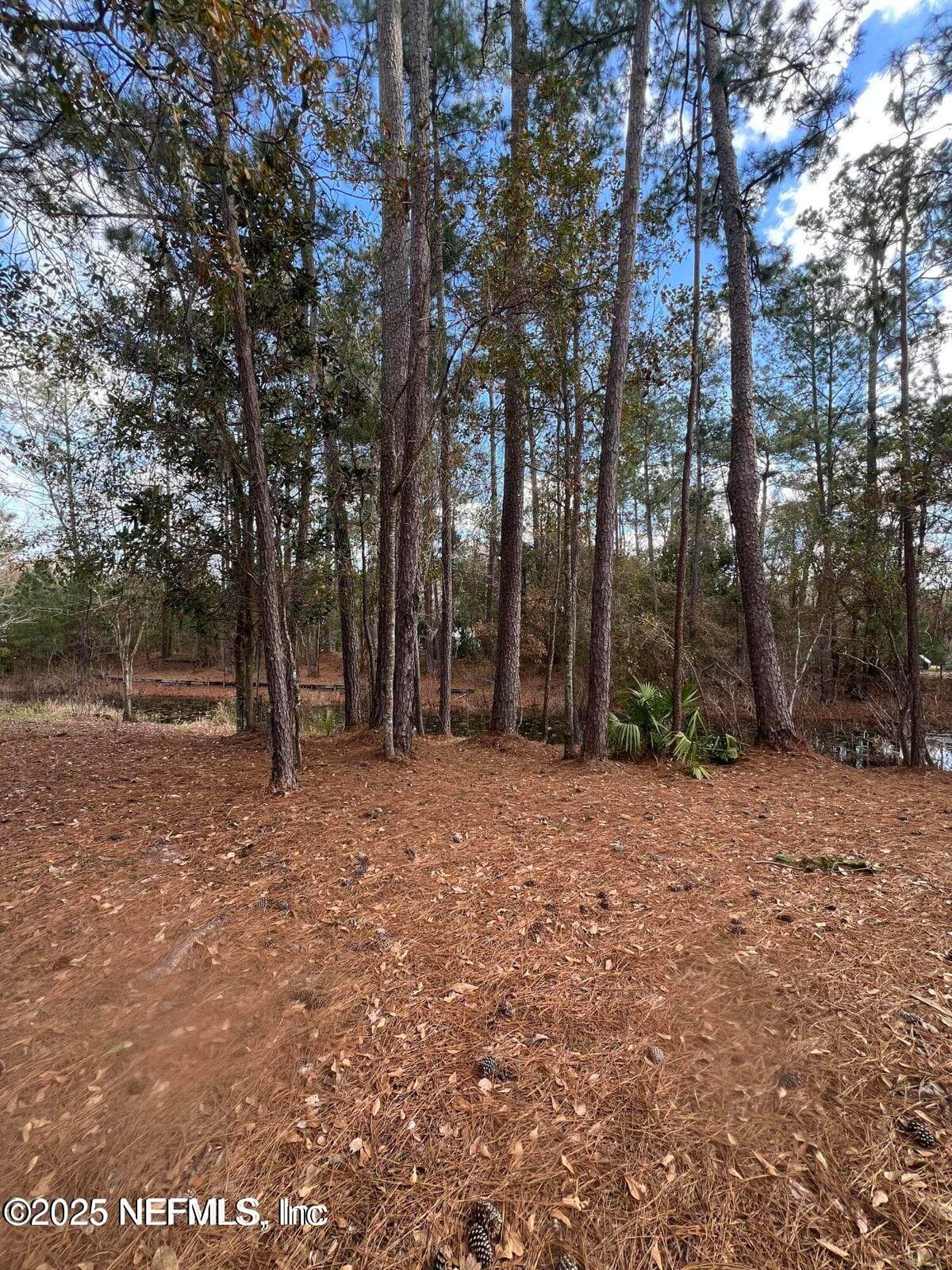 LOT 36 37 SW 162ND Terrace, Starke, FL 32091, Starke — exterior