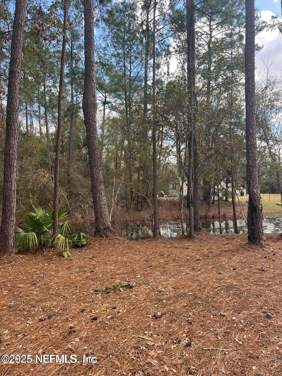 LOT 36 37 SW 162ND Terrace, Starke, FL 32091, Starke — photo 3
