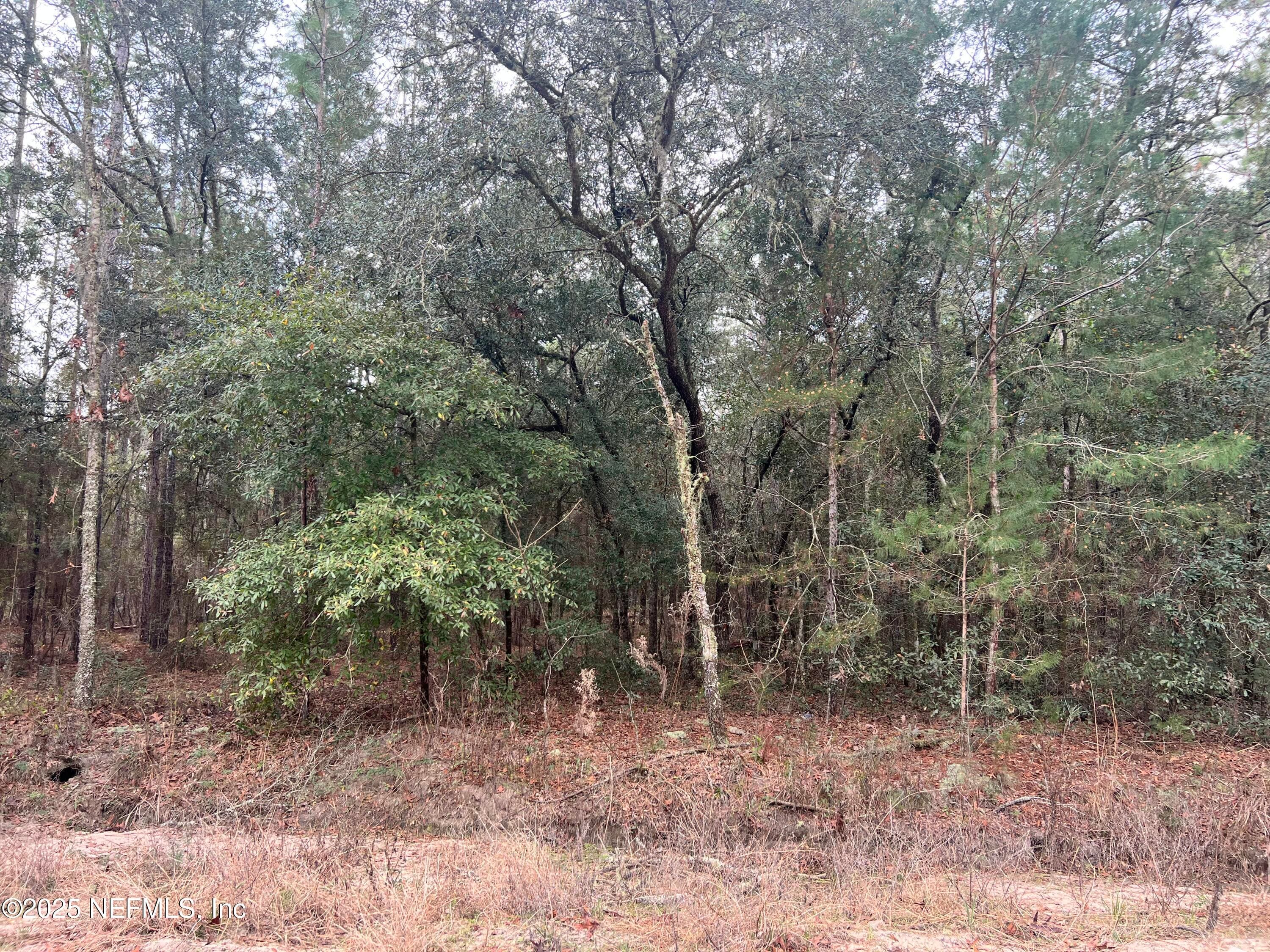 0 TROUT LAKE Circle, Interlachen — exterior