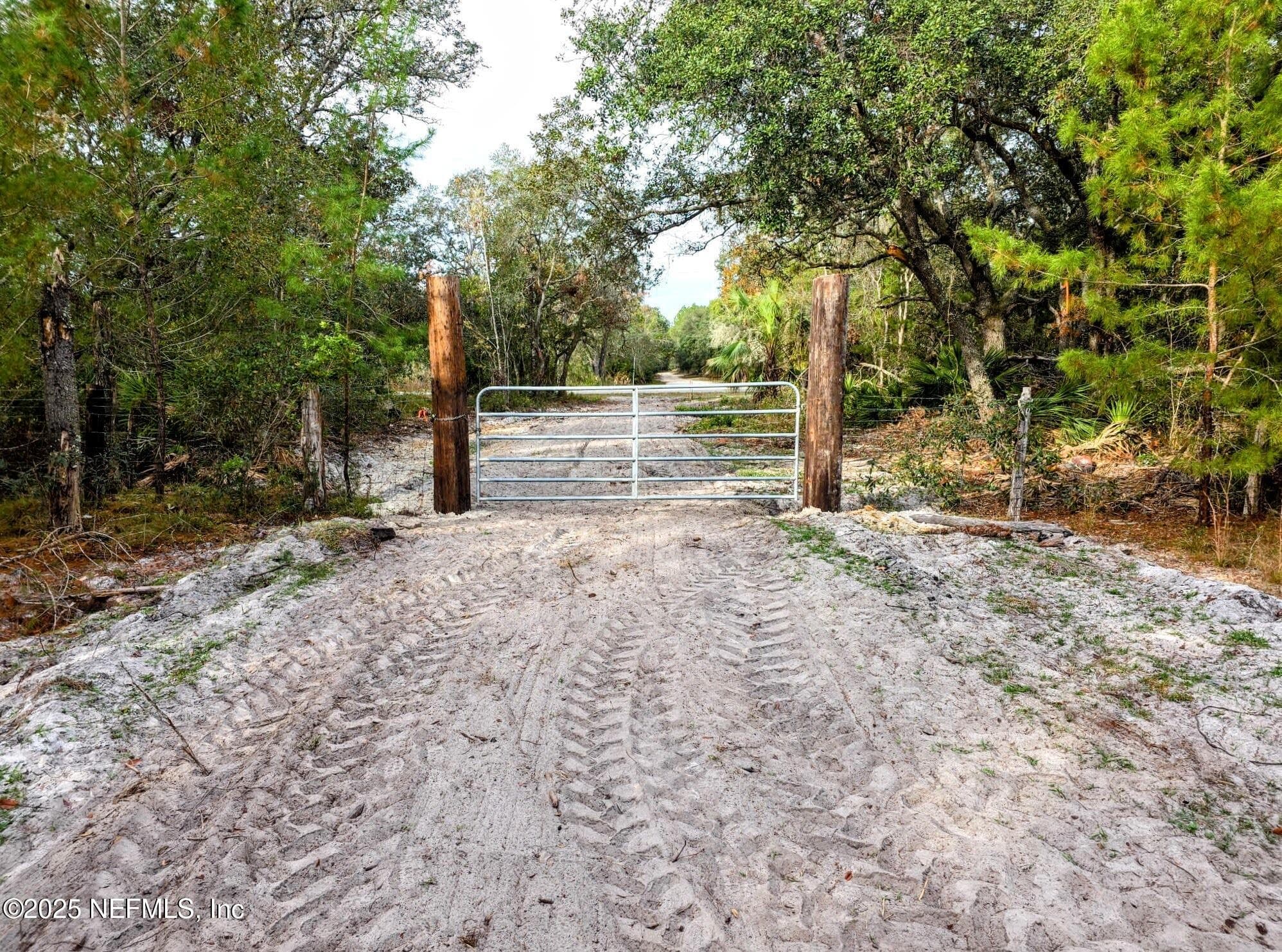 96 BRIDLE Drive, Interlachen — photo 2