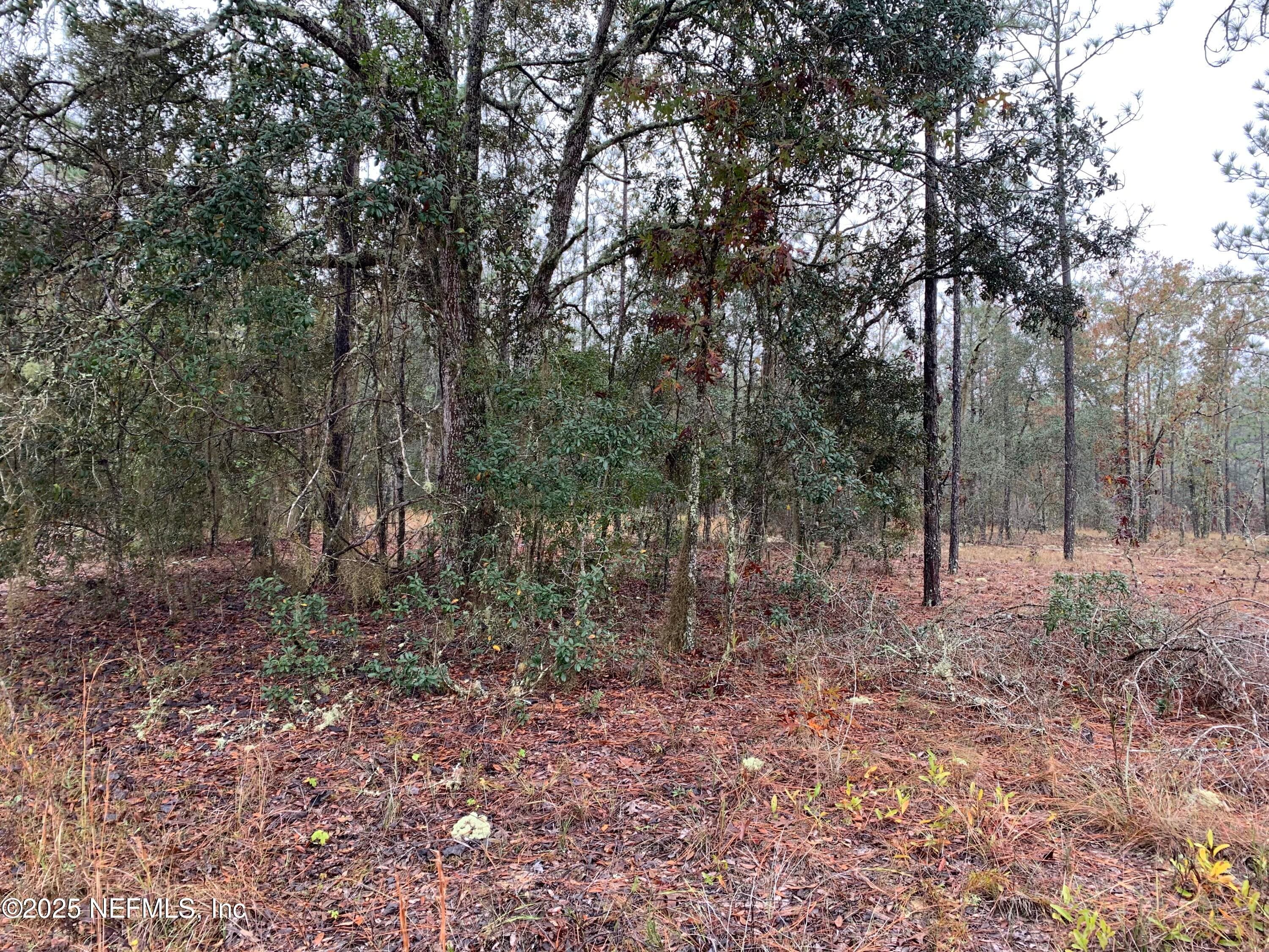 00 COLONY Street, Hawthorne, FL 32640, Hawthorne — photo 2