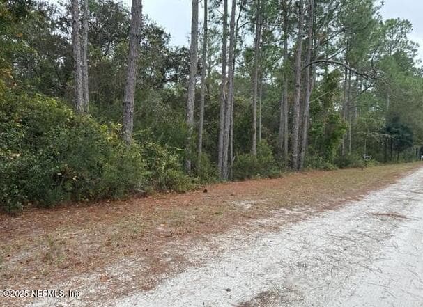 307 LAKEWAY Drive, Georgetown, FL 32139, Georgetown — exterior