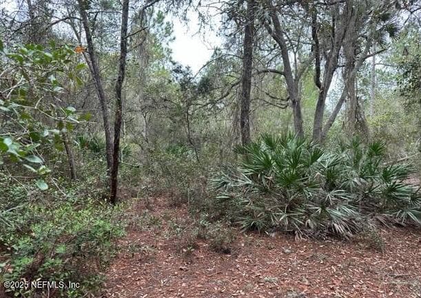 307 LAKEWAY Drive, Georgetown, FL 32139, Georgetown — photo 2