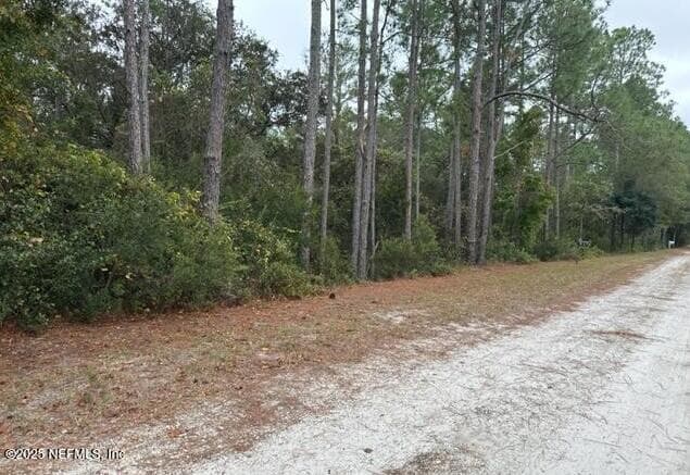 307 LAKEWAY Drive, Georgetown, FL 32139, Georgetown — photo 3
