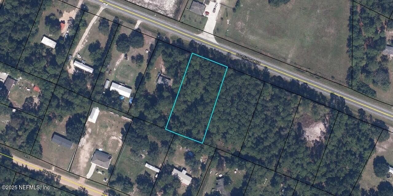 0 COUNTY ROAD 218, Middleburg — photo 2