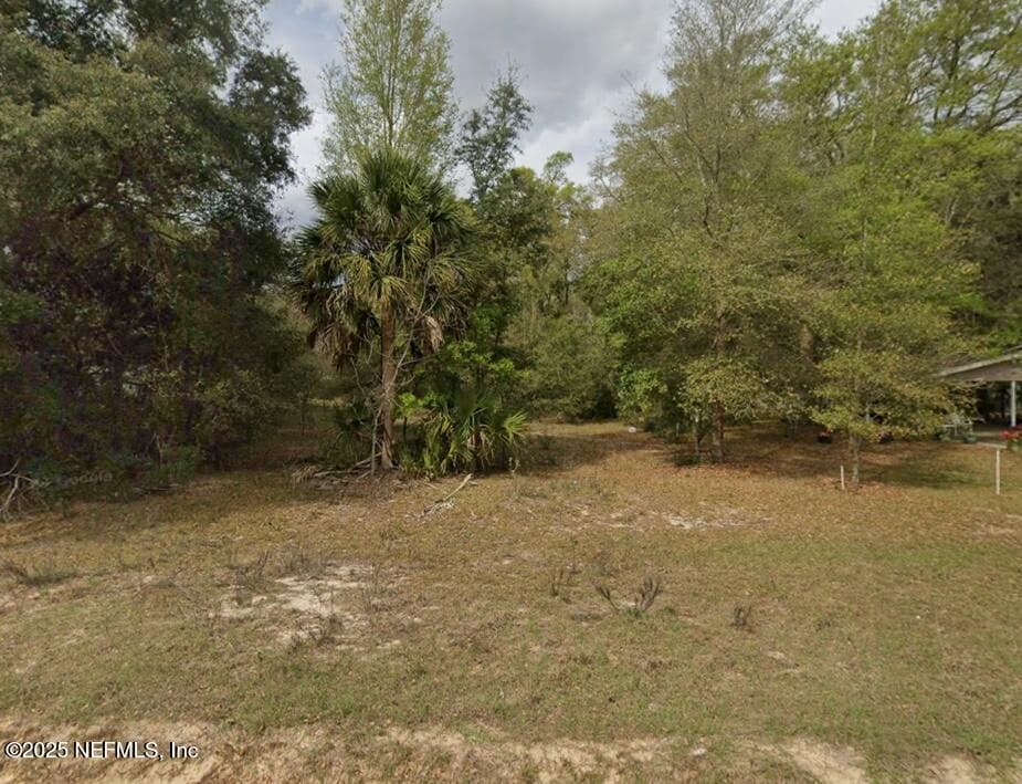 0 JERNIGAN Street, Interlachen, FL 32148, Interlachen — photo 3