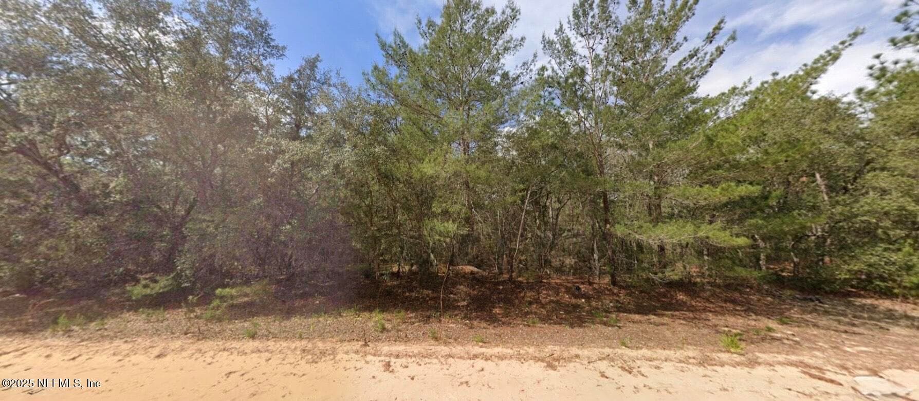0 BRETT Avenue, Interlachen, FL 32148, Interlachen — photo 3