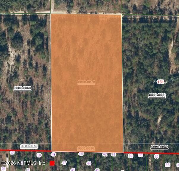 161 WINDY HILLS Road, Hawthorne, FL 32640, Hawthorne — photo 3