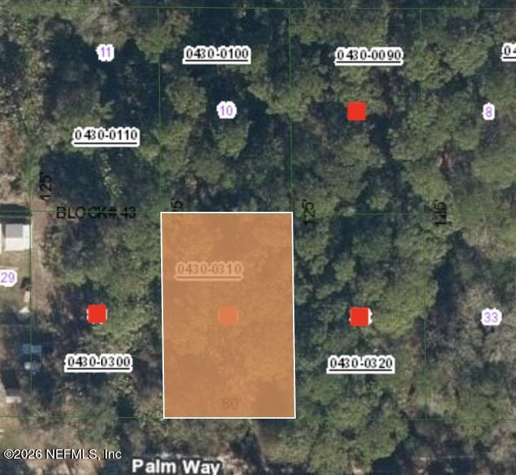 320 PALM Way, Georgetown, FL 32139, Georgetown — exterior