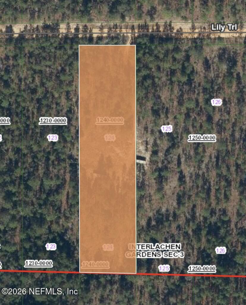 511 LILY Trail, Interlachen, FL 32148, Interlachen — photo 2