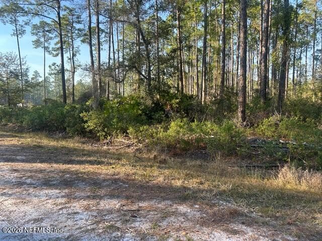 128 CARTERET Road, Georgetown, FL 32139, Georgetown — photo 3