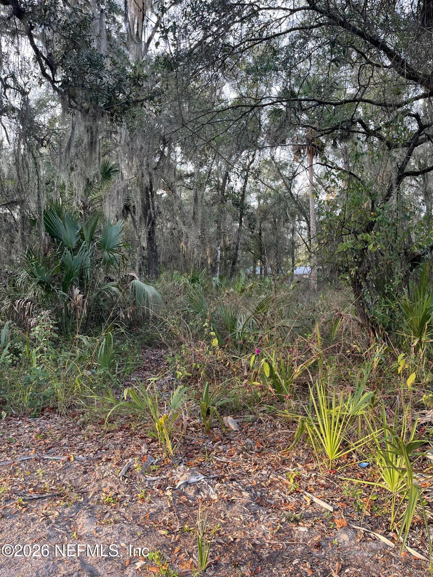 1024 ELM Street, Welaka, FL 32193, Welaka — photo 2