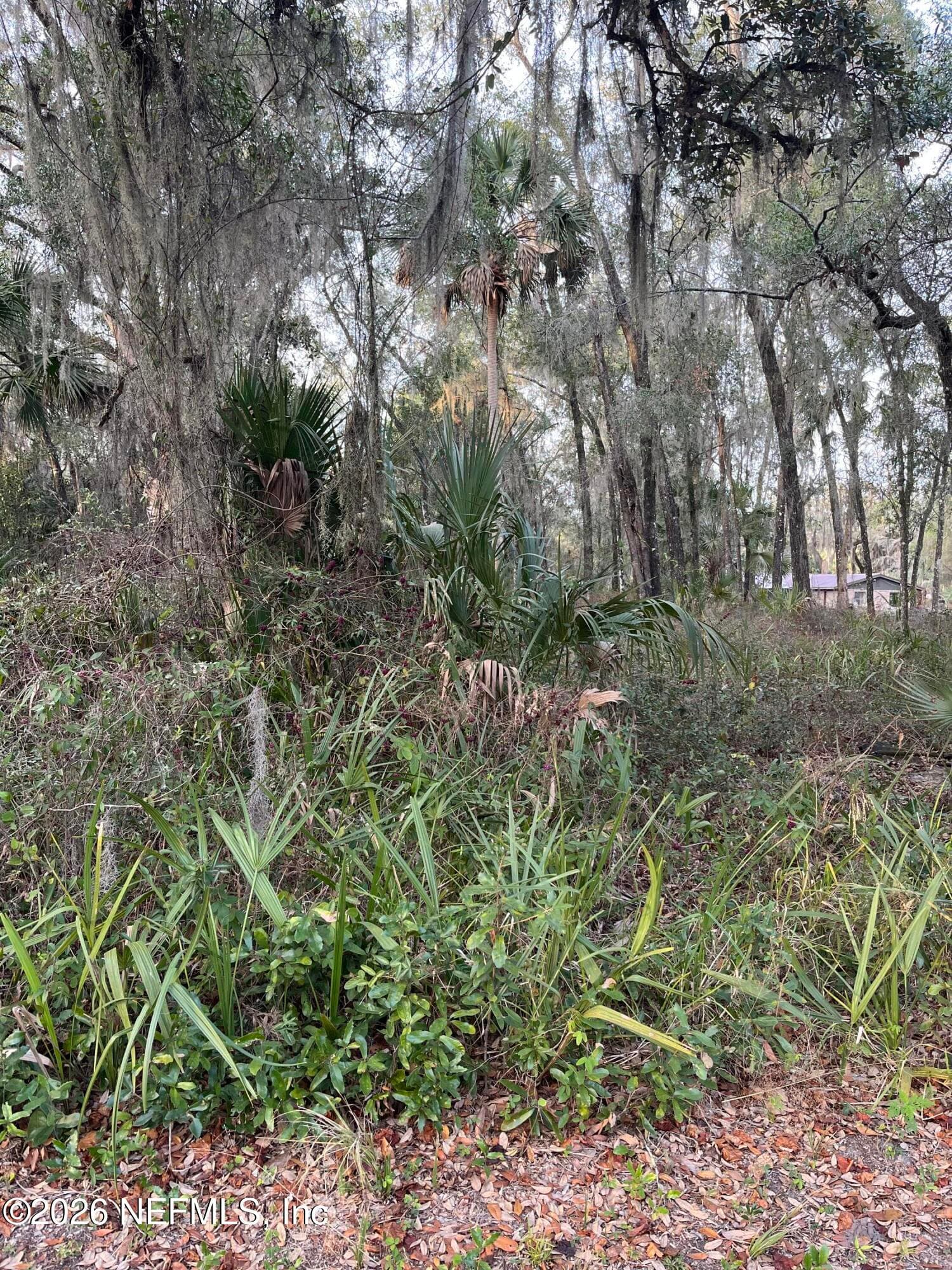 1024 ELM Street, Welaka, FL 32193, Welaka — photo 3