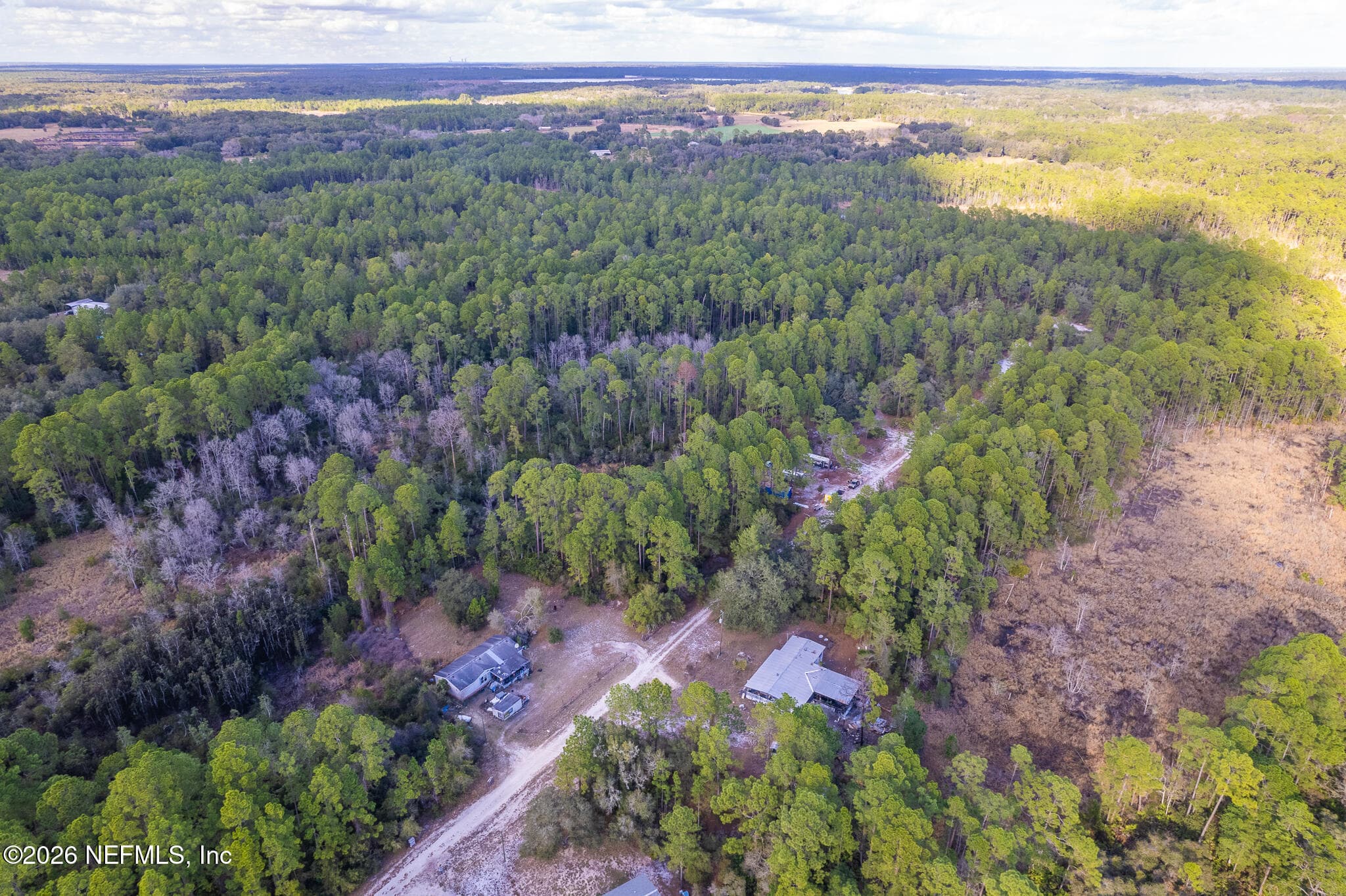 142 FERNCREEK Drive, Georgetown, FL 32139, Georgetown — photo 3