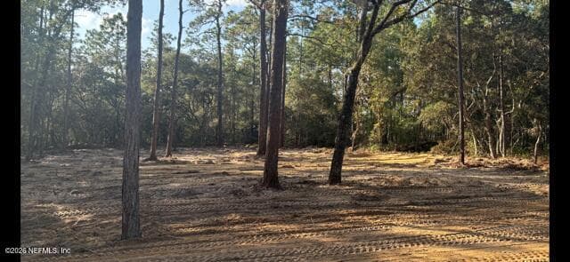 409 EDGEHILL Road, Satsuma, FL 32189, Satsuma — photo 3