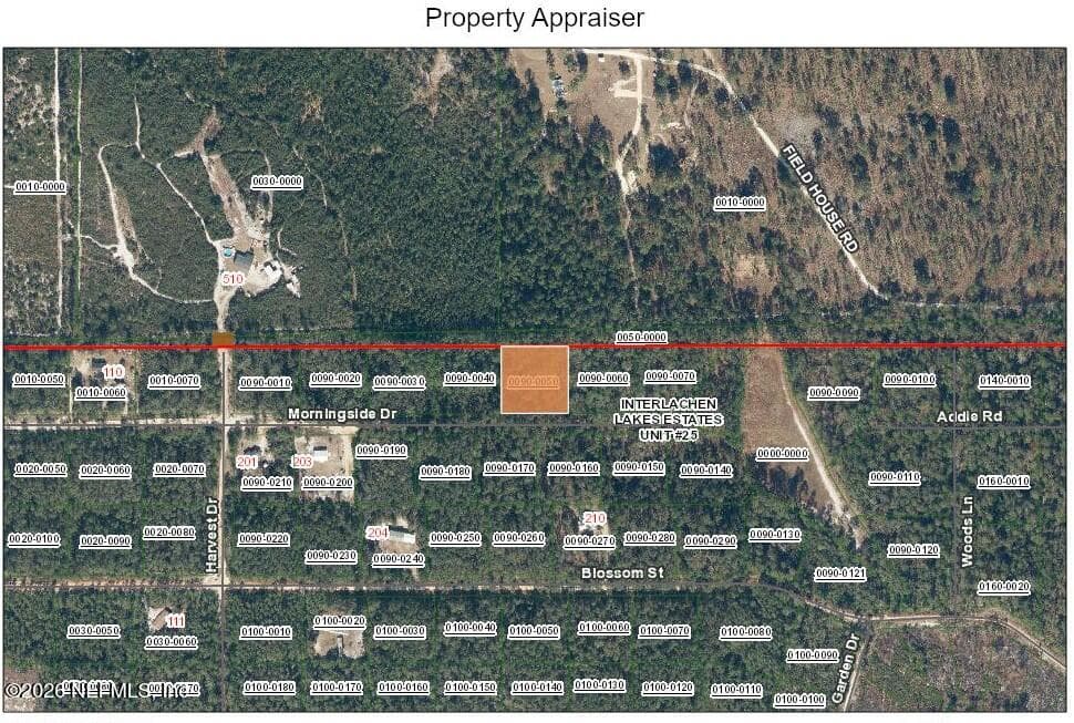 210 MORNINGSIDE Drive, Florahome, FL 32140, Florahome — photo 2