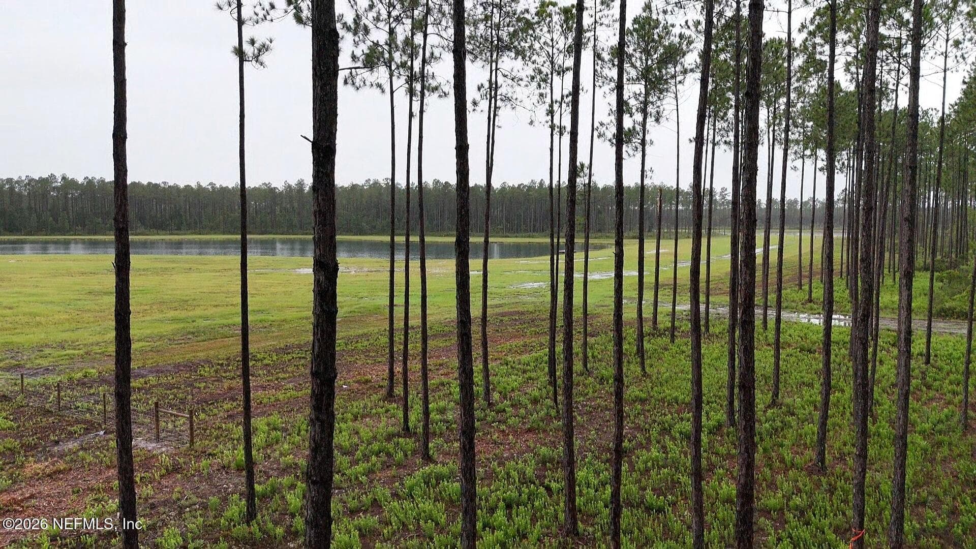 0 US HIGHWAY 301, Bryceville, FL 32209, Bryceville — photo 2