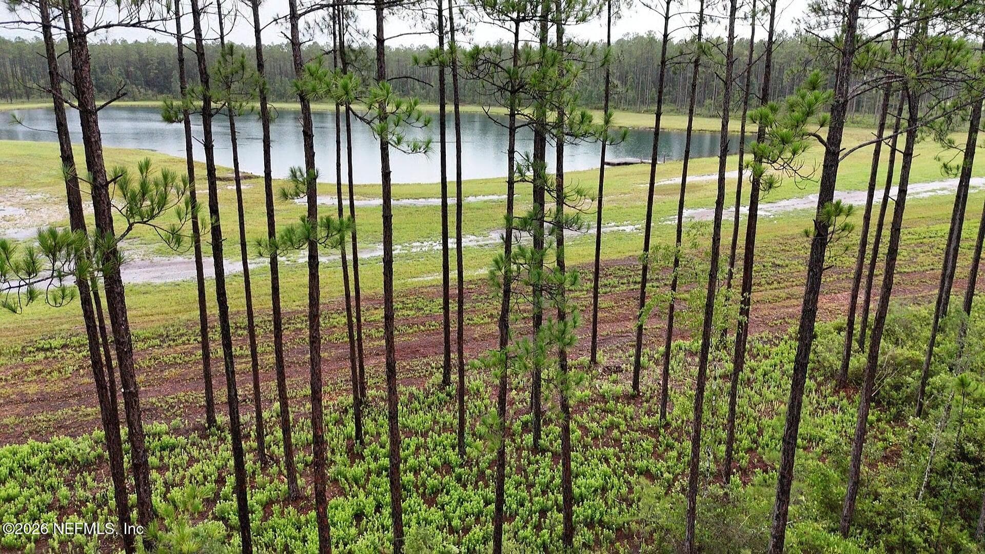 0 US HIGHWAY 301, Bryceville, FL 32209, Bryceville — photo 3