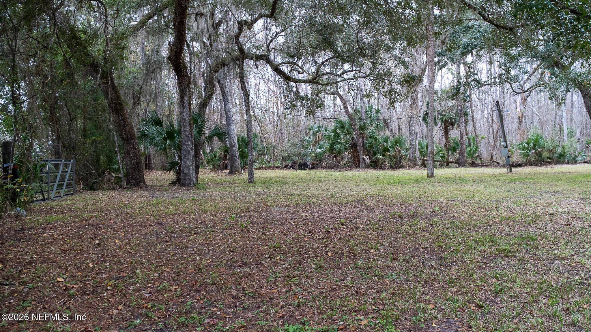 155 FRAN Lane, Satsuma, FL 32189, Satsuma — photo 3
