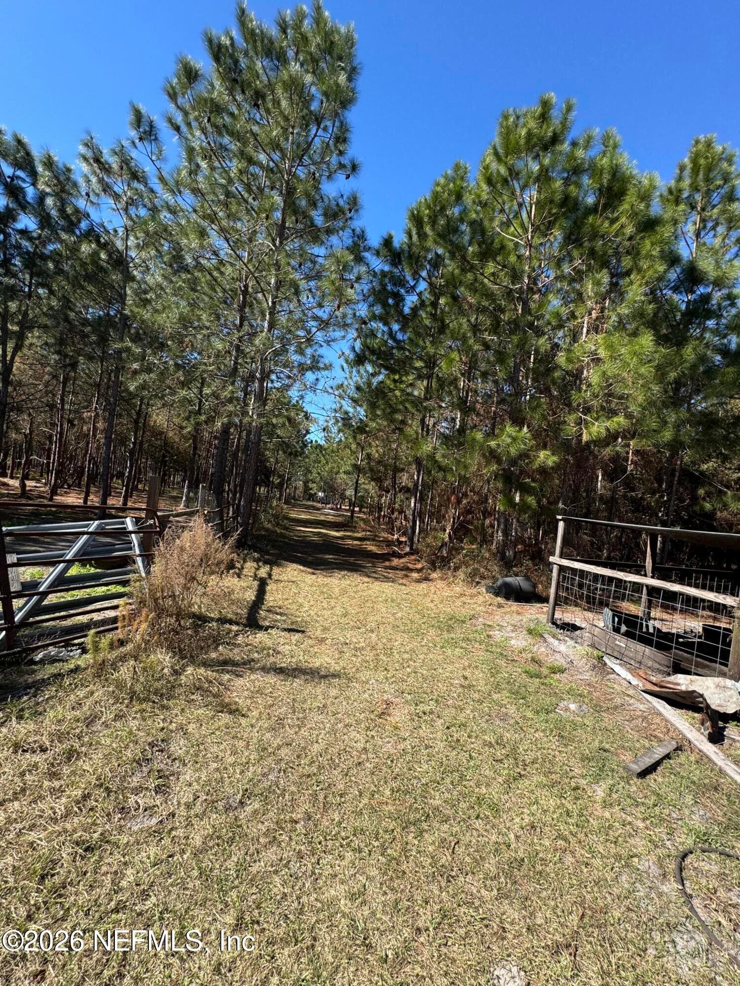 0 SW 105TH Terrace, Brooker, FL 32622, Brooker — photo 2