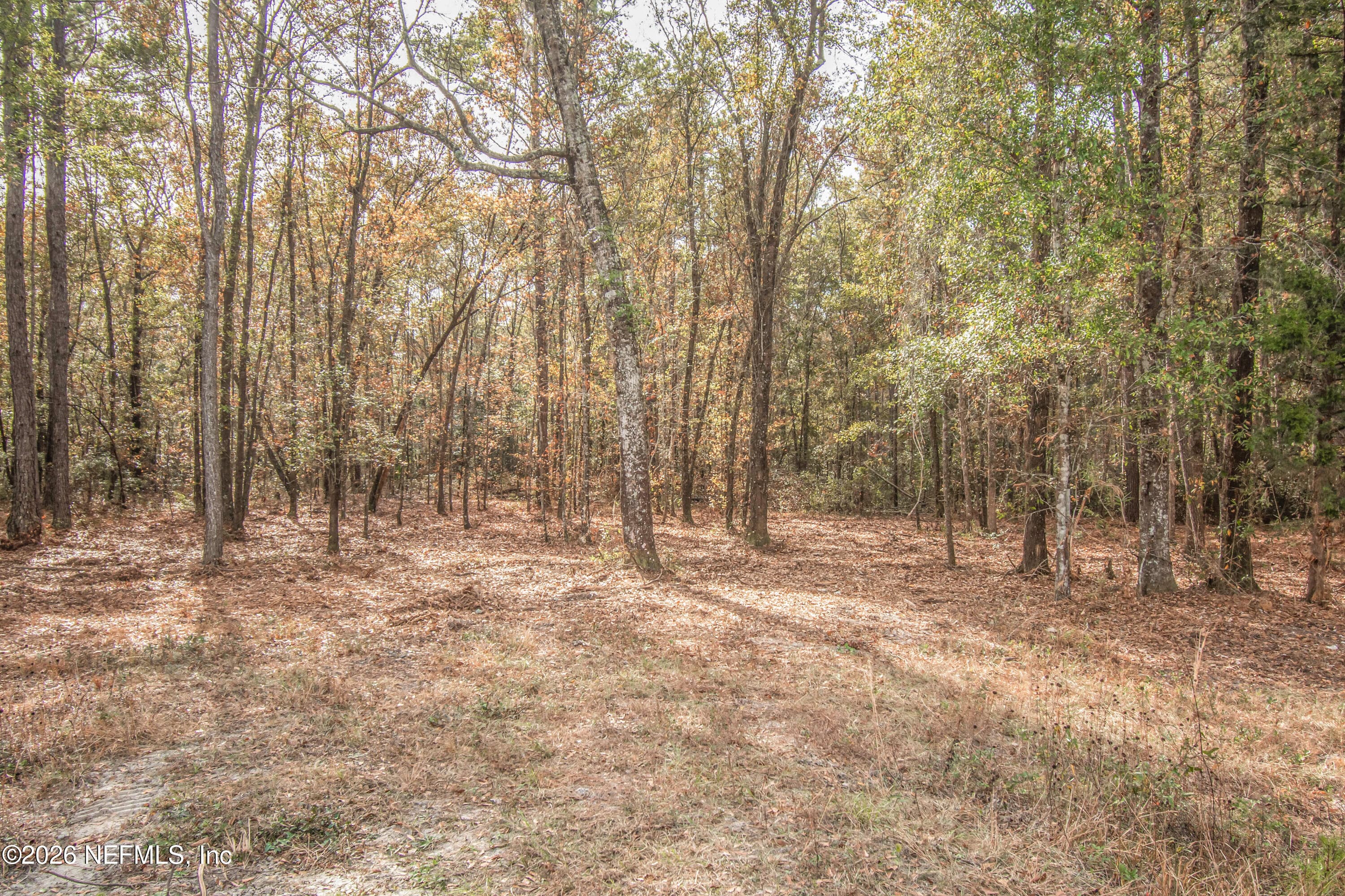 13890 COUNTY ROAD 124, Sanderson, FL 32087, Sanderson — photo 2