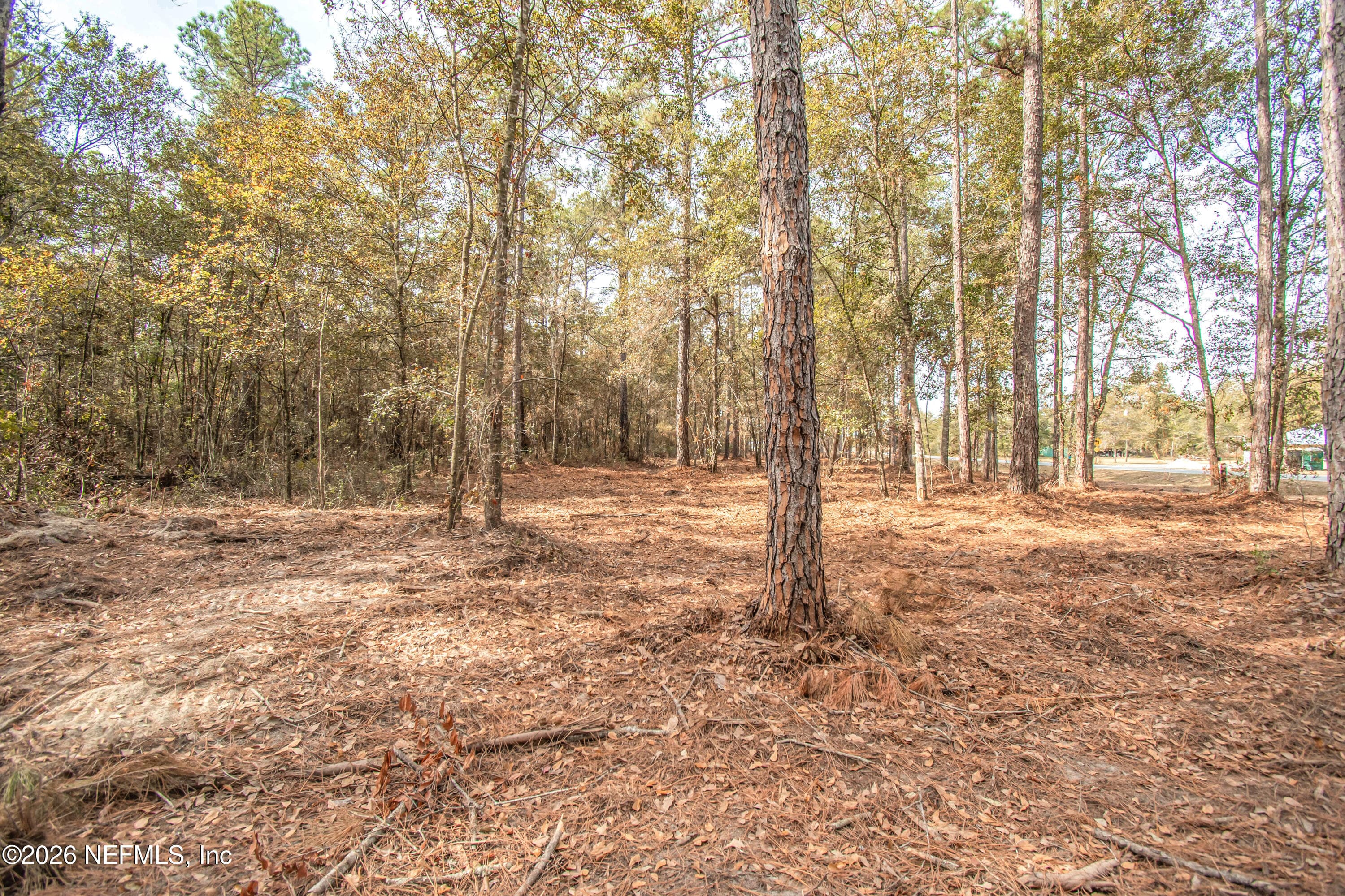 13890 COUNTY ROAD 124, Sanderson, FL 32087, Sanderson — photo 3
