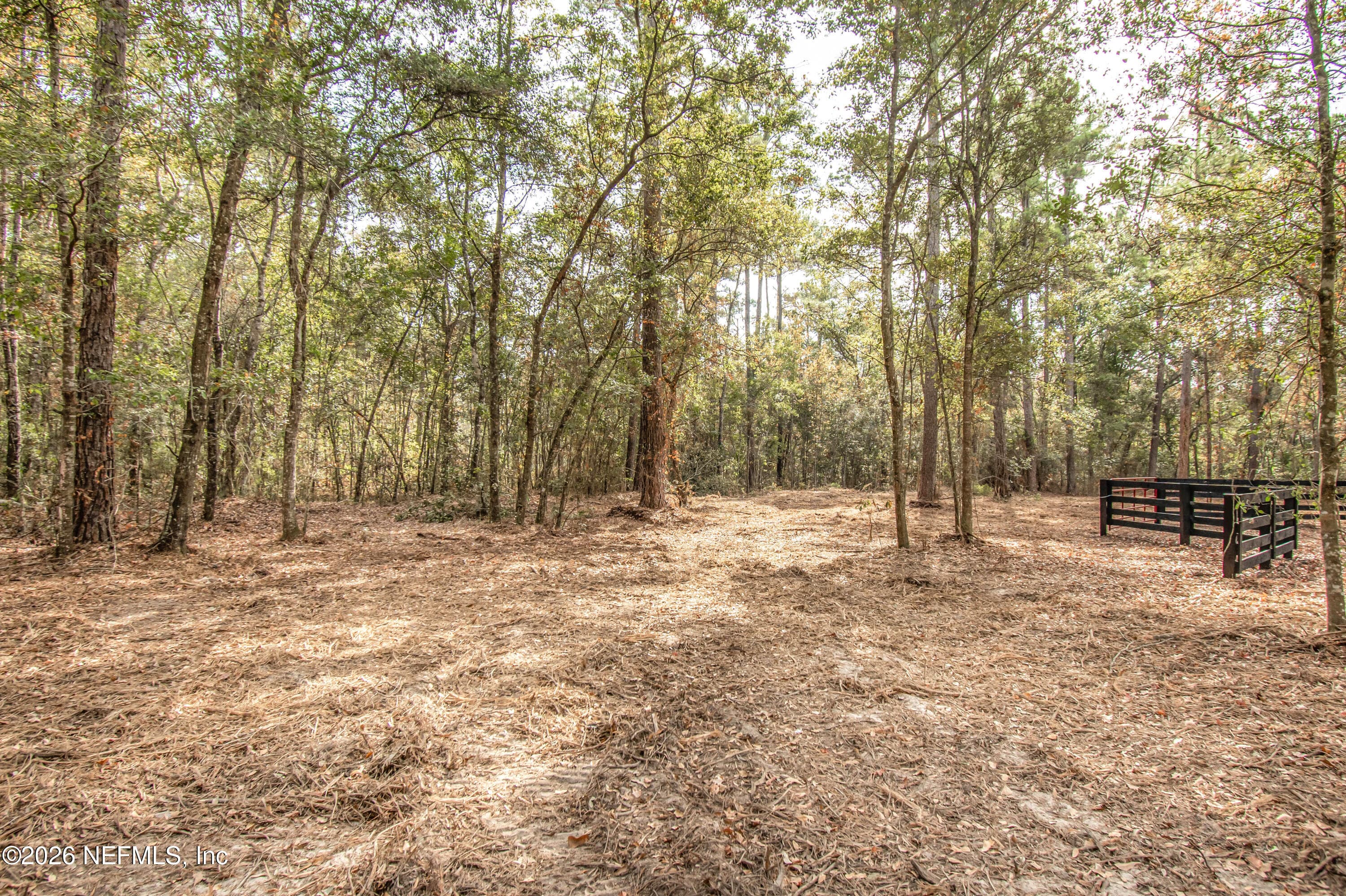 14440 C R 124, Sanderson, FL 32087, Sanderson — photo 2