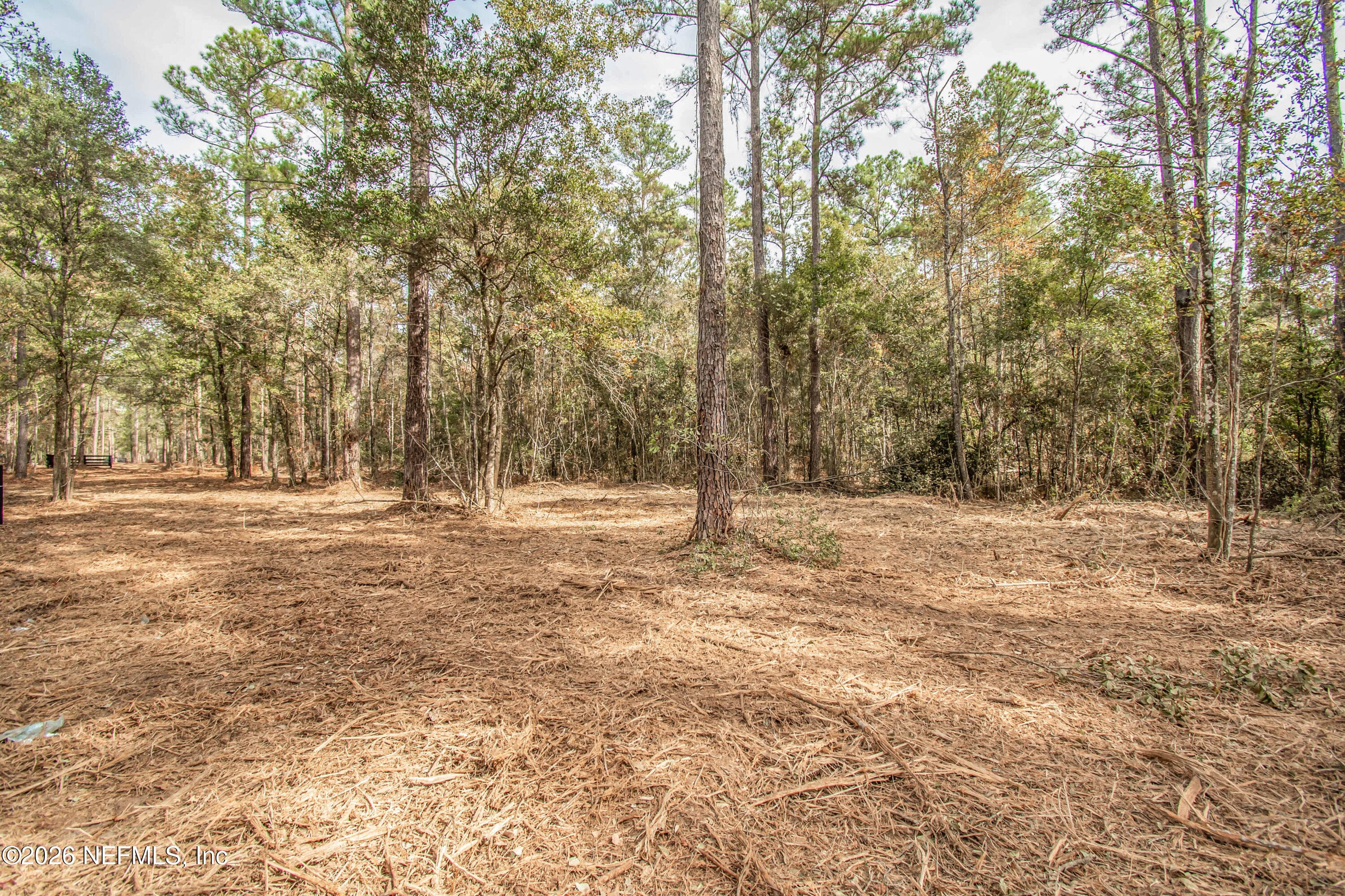 14440 C R 124, Sanderson, FL 32087, Sanderson — photo 3