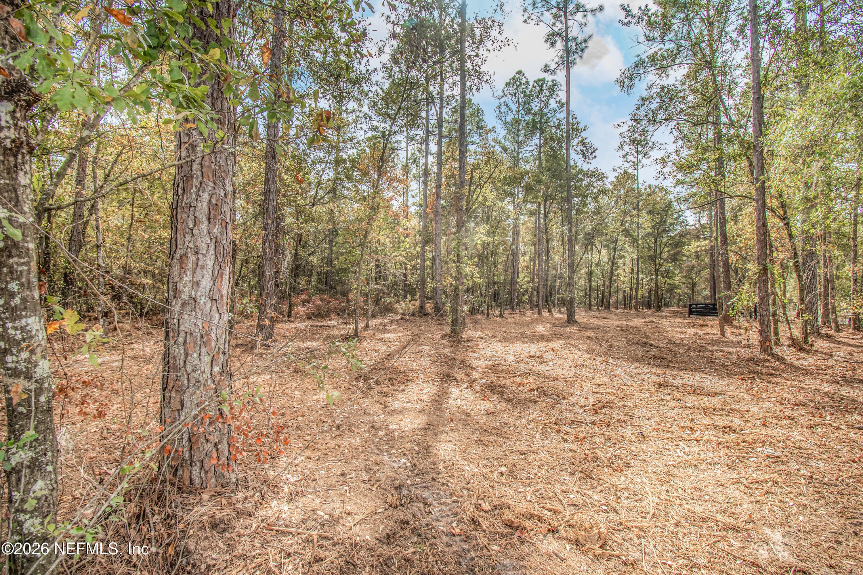 14374 C R 124, Sanderson, FL 32087, Sanderson — photo 3
