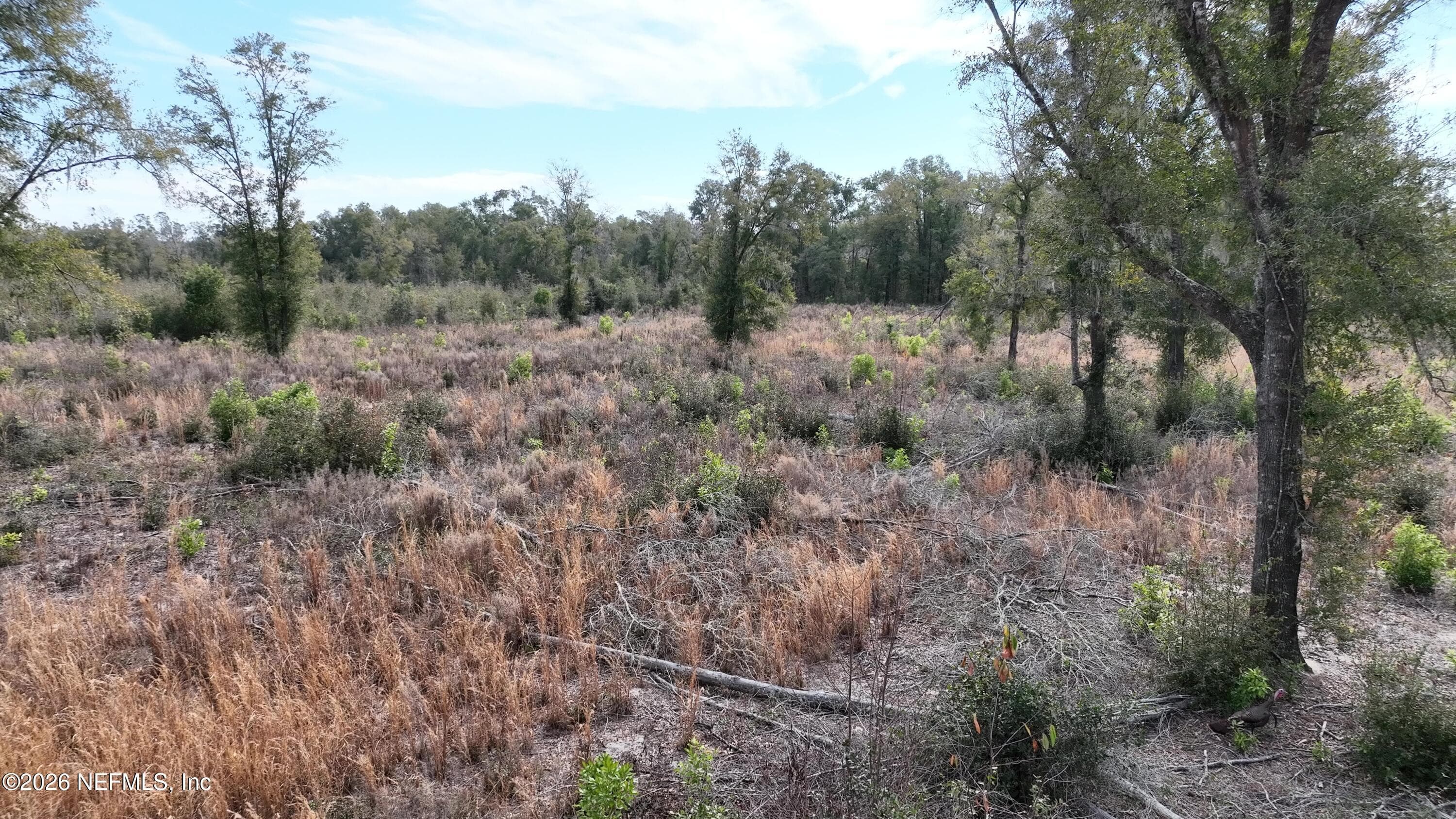 0 SW GILYARD GLEN, Lake City, FL 32054, Lake City — photo 3