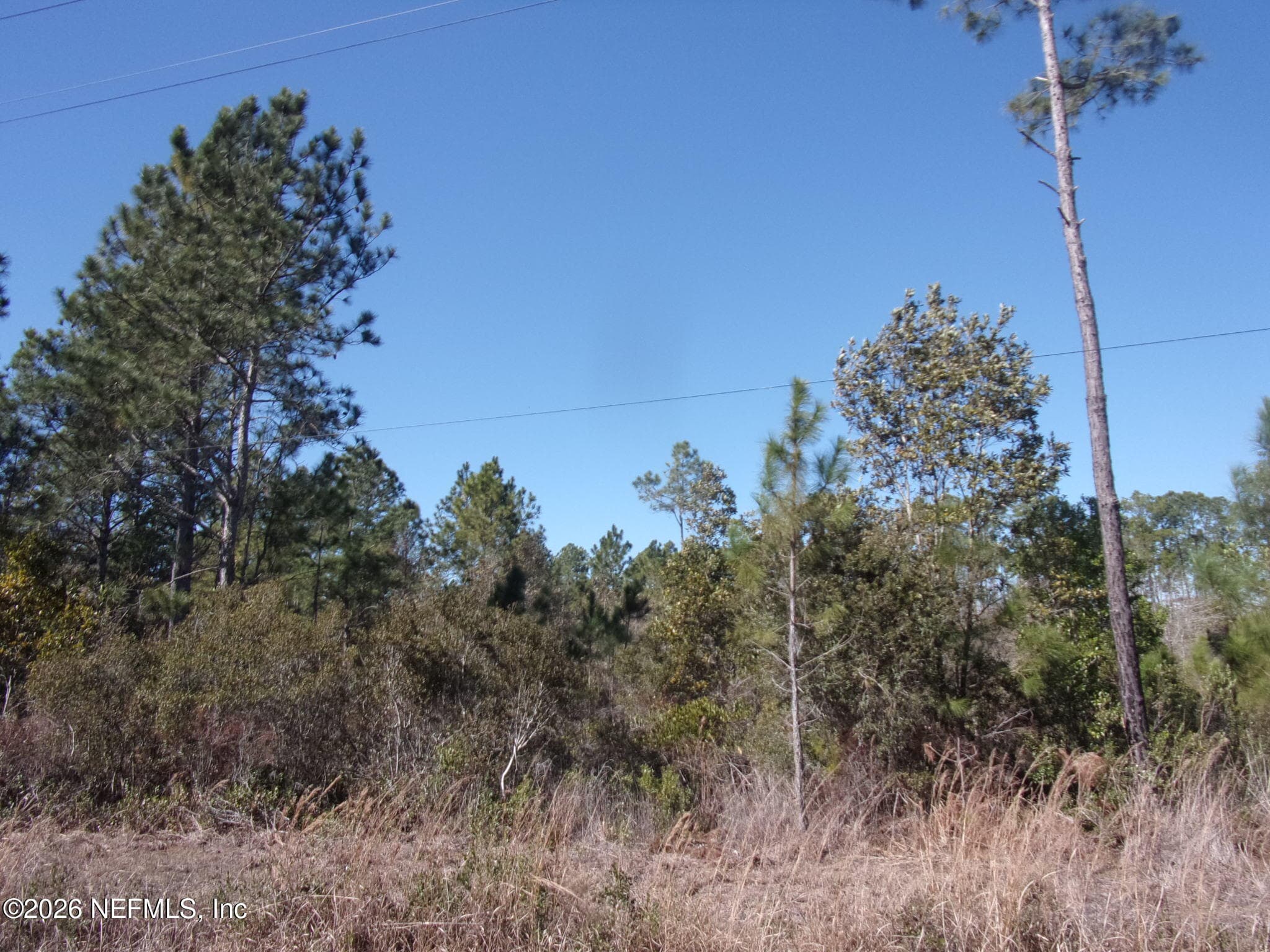 1658 S STATE RD 19, Palatka, FL 32177, Palatka — photo 2