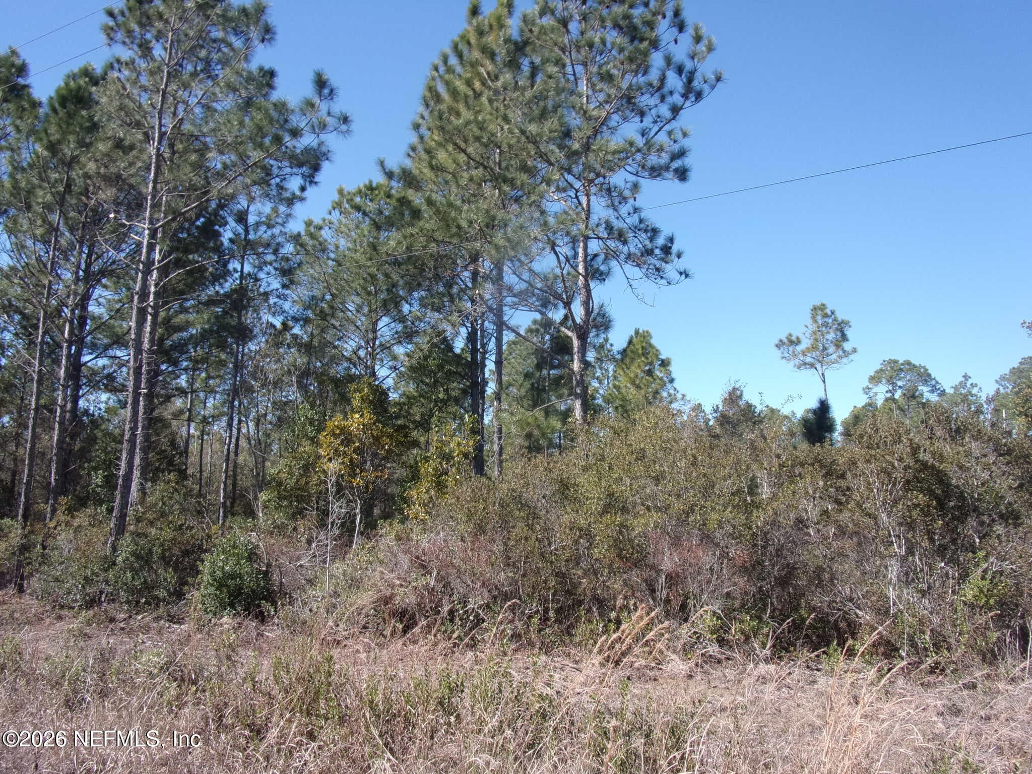 1658 S STATE RD 19, Palatka, FL 32177, Palatka — photo 3