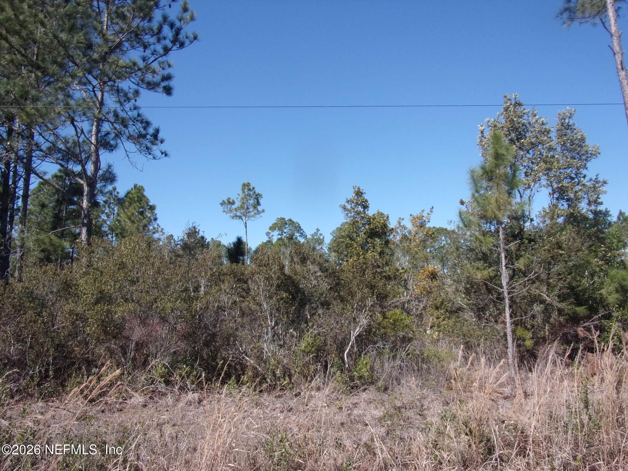 1658 S STATE RD 19, Palatka, FL 32177, Palatka — exterior