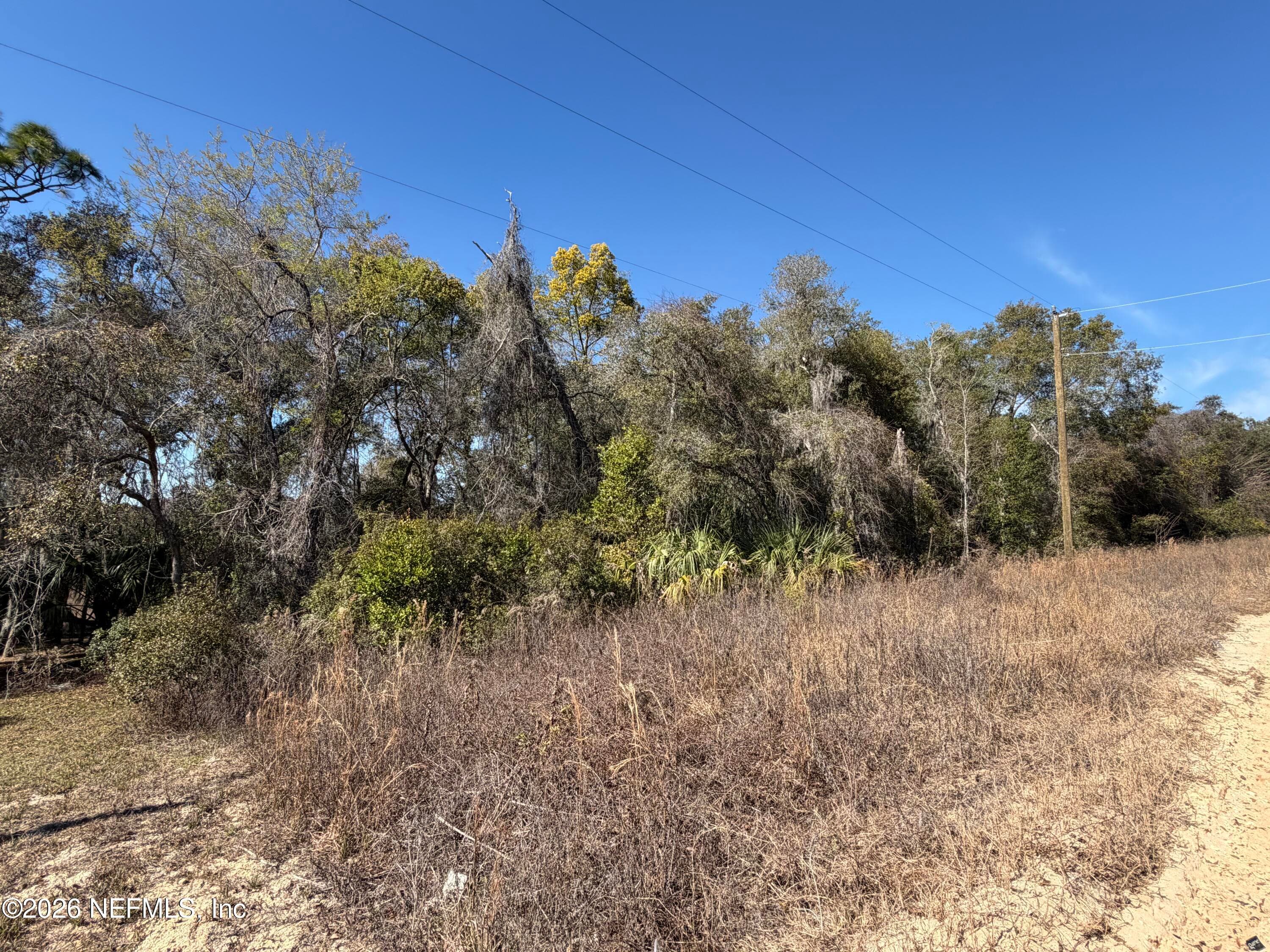 0 CHERRY Avenue, Hawthorne, FL 32640, Hawthorne — photo 2