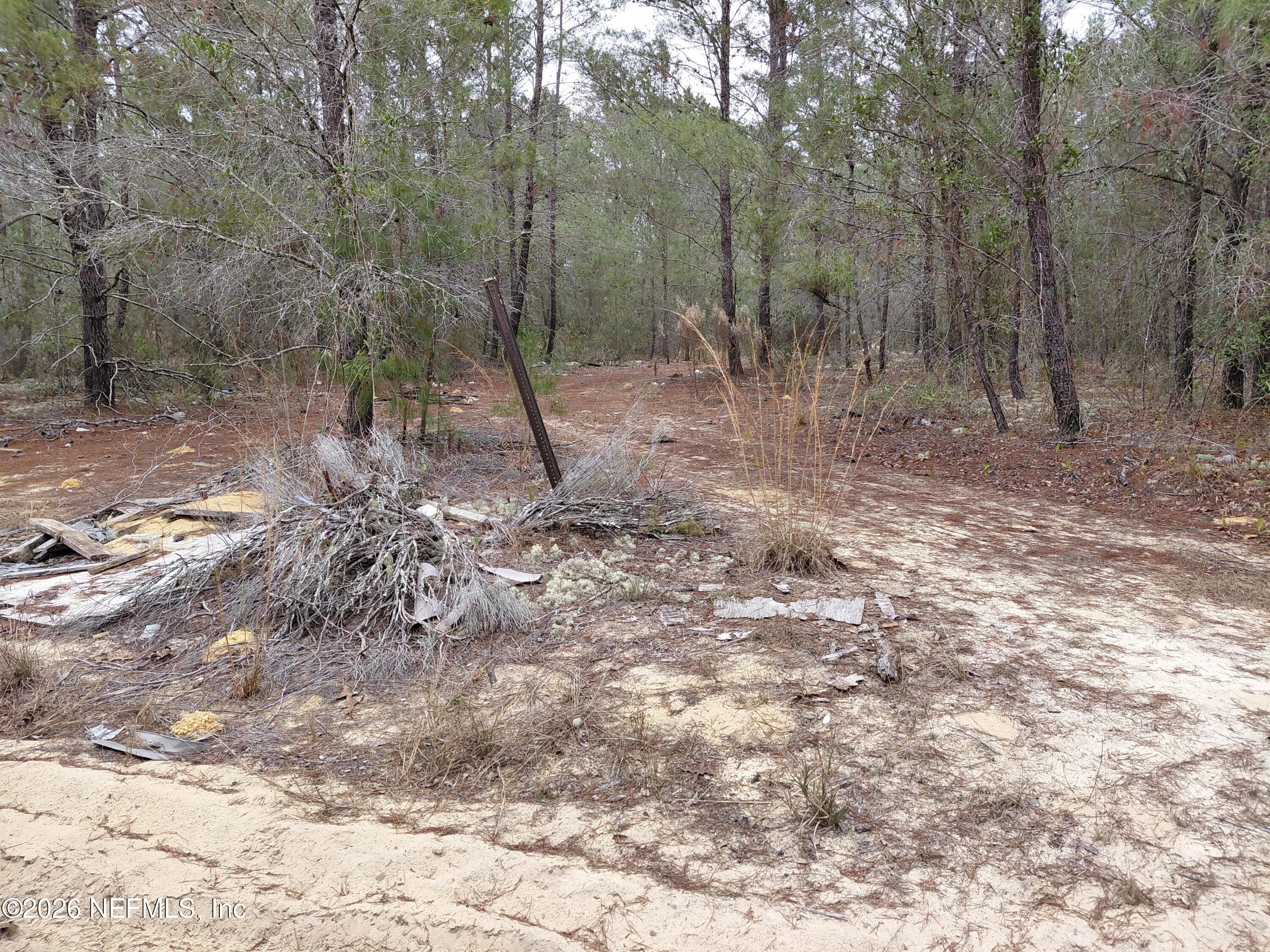 0 OAK Terrace, Interlachen, FL 32148, Interlachen — photo 2