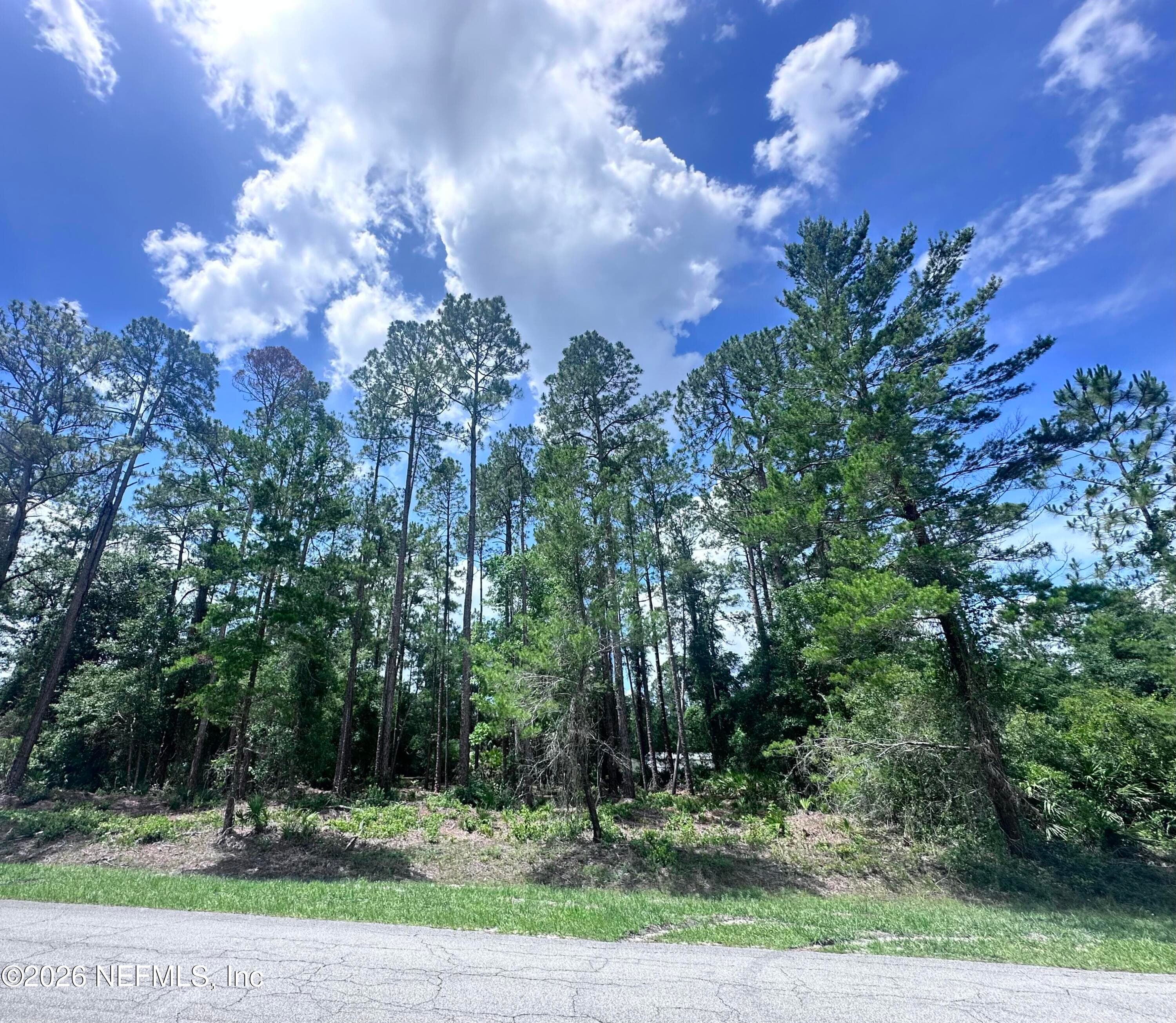 107 GEORGETOWN POINT RD Road, Georgetown, FL 32139, Georgetown — photo 2