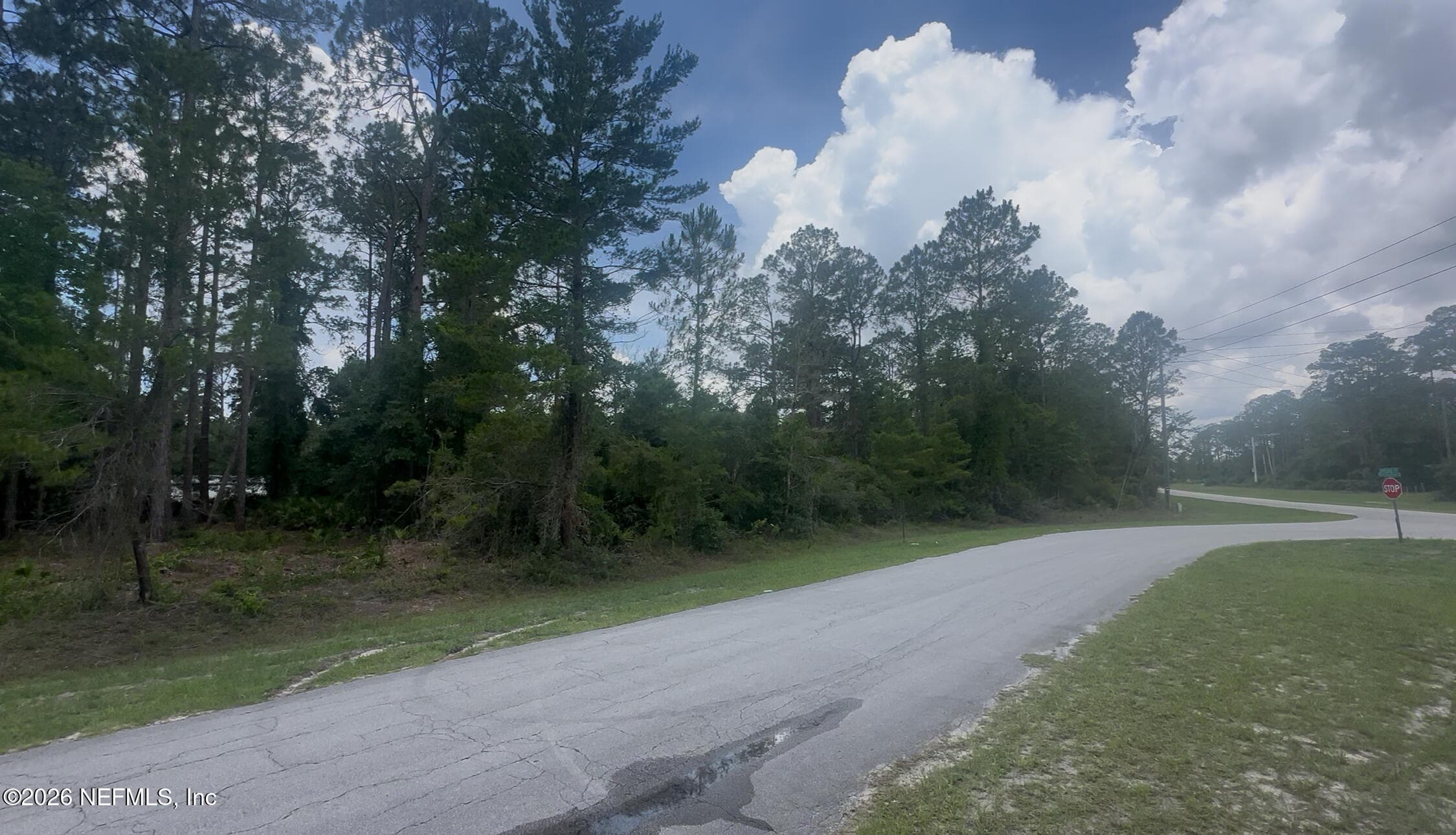 107 GEORGETOWN POINT RD Road, Georgetown, FL 32139, Georgetown — photo 3