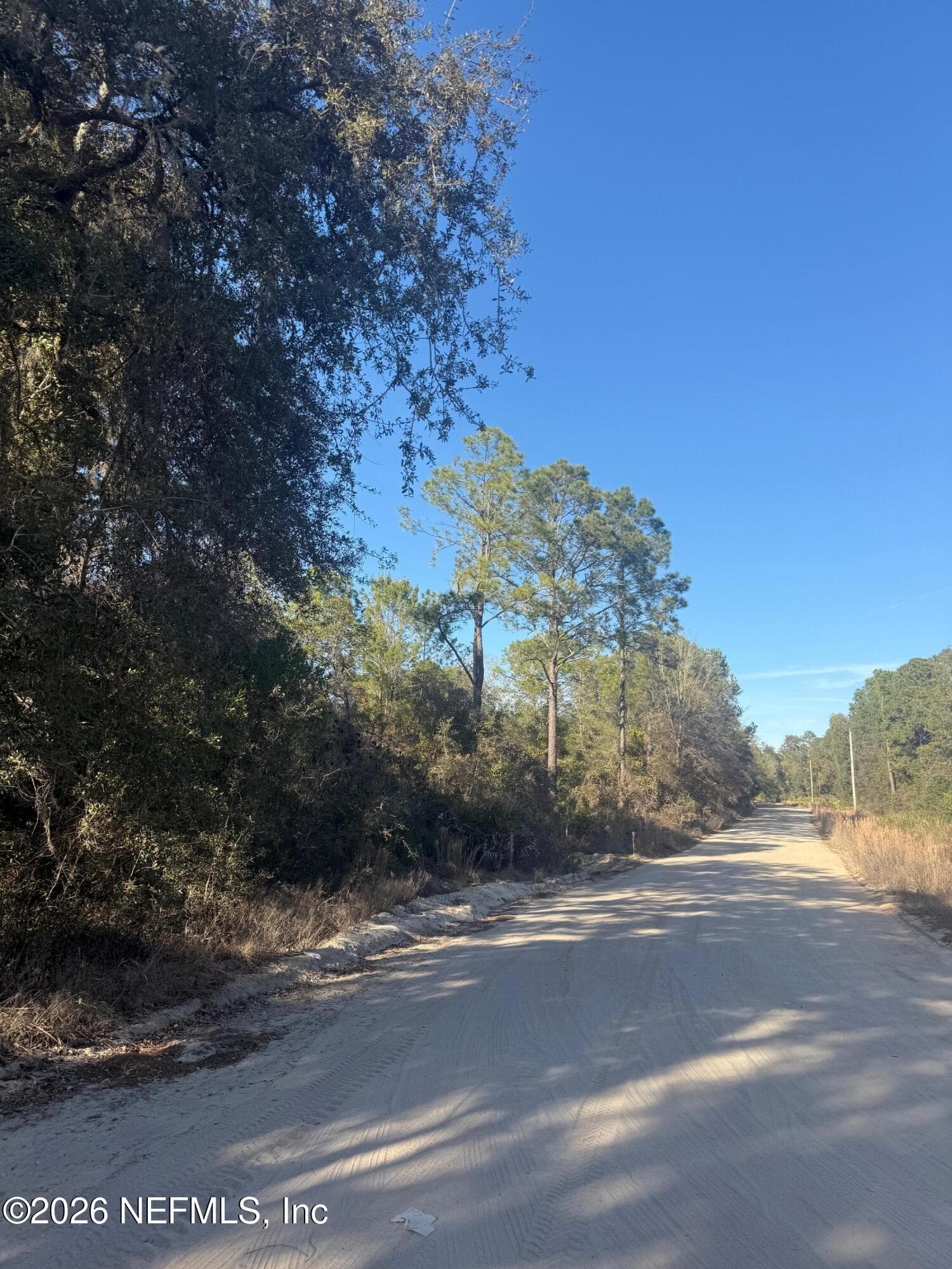 000 NETTLES, Florahome, FL 32140, Florahome — photo 3